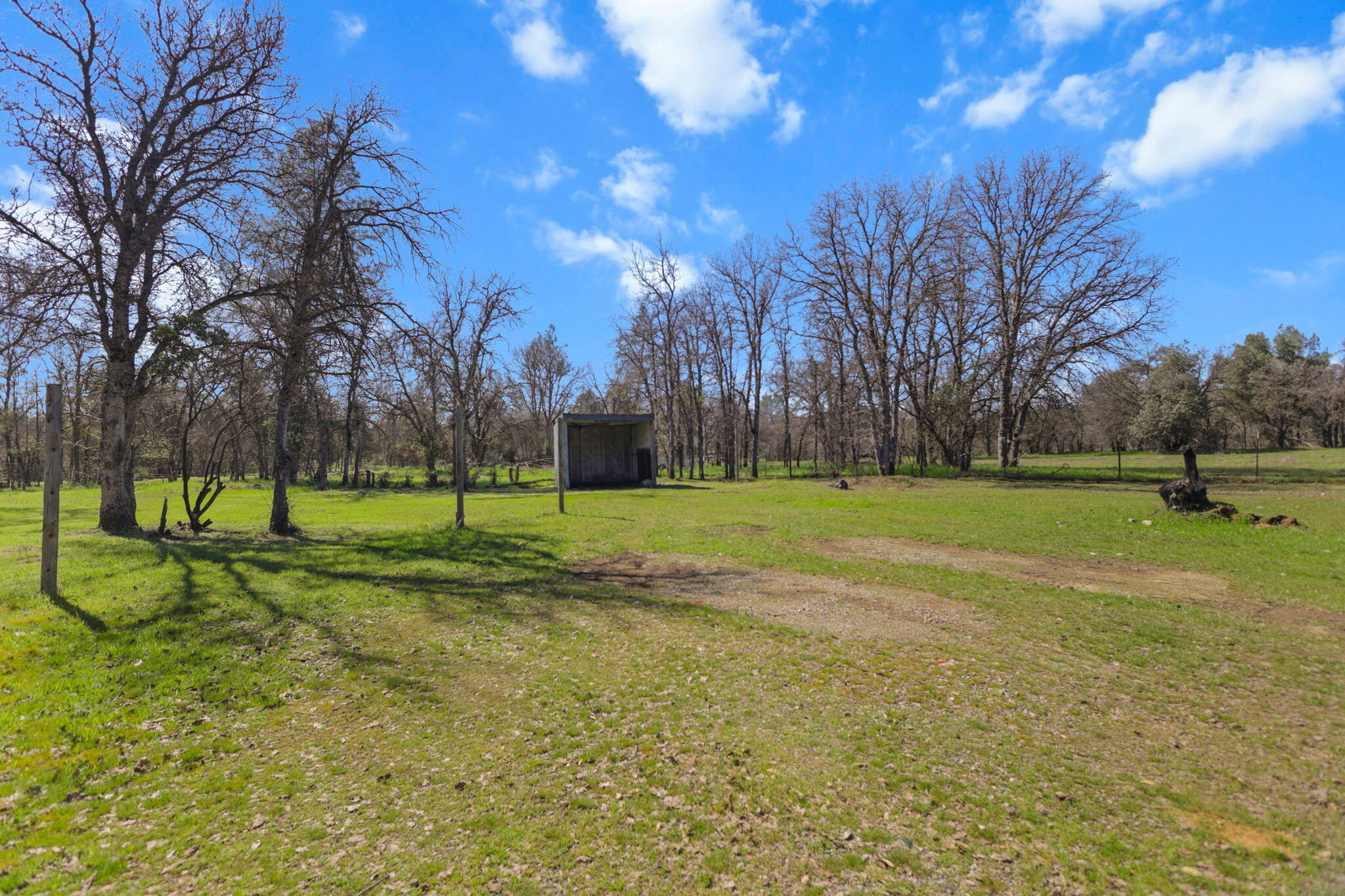 main property photo 53