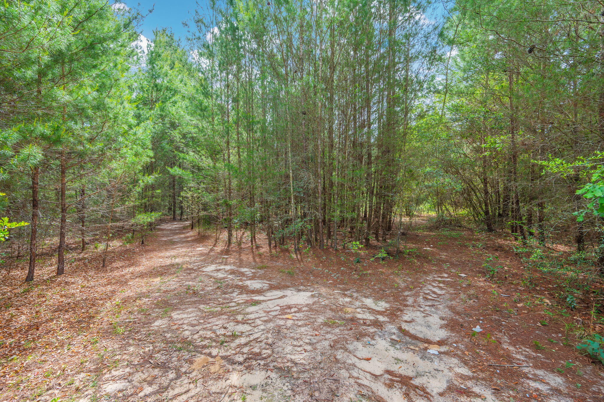 main property photo 15