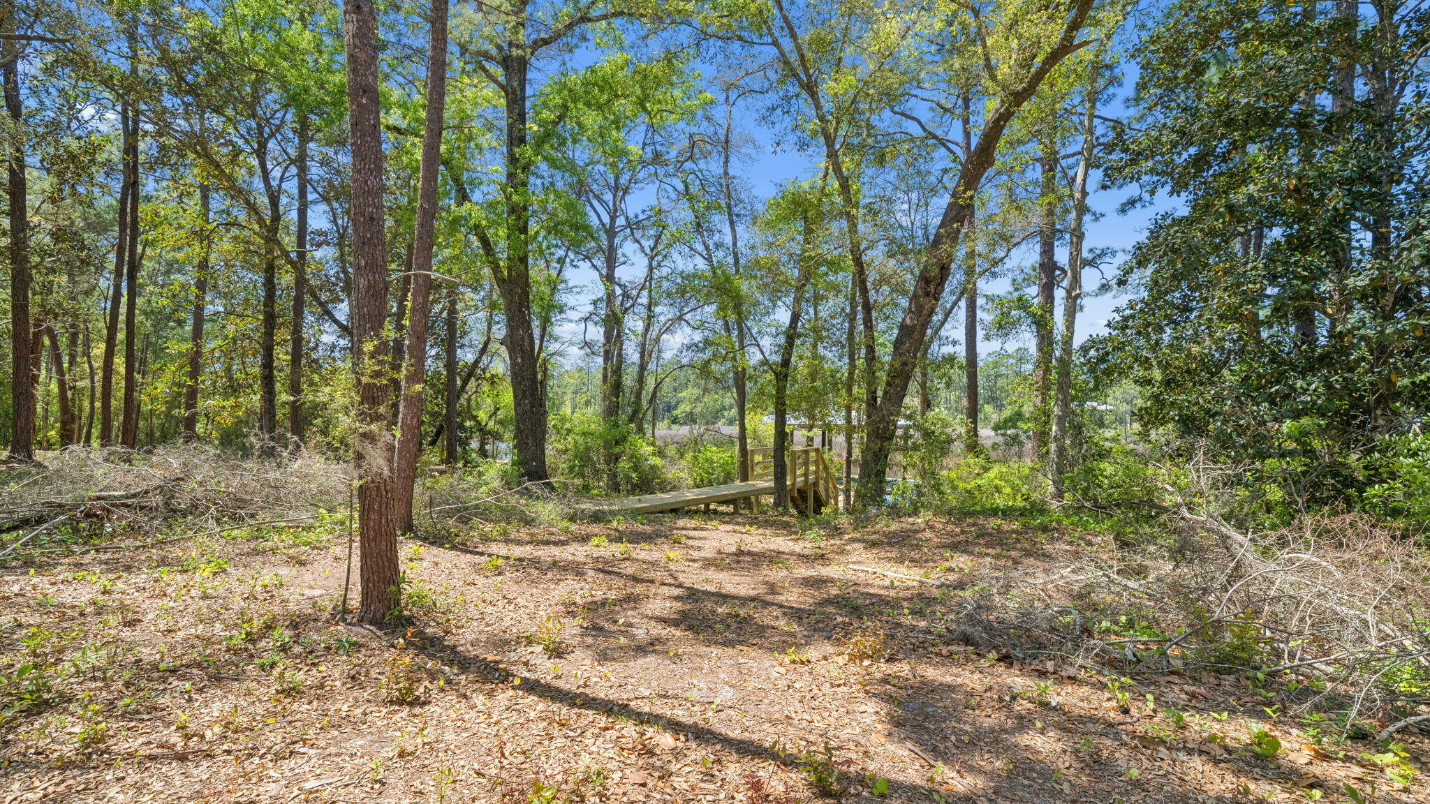 main property photo 49
