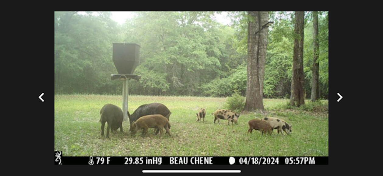 main property photo 52