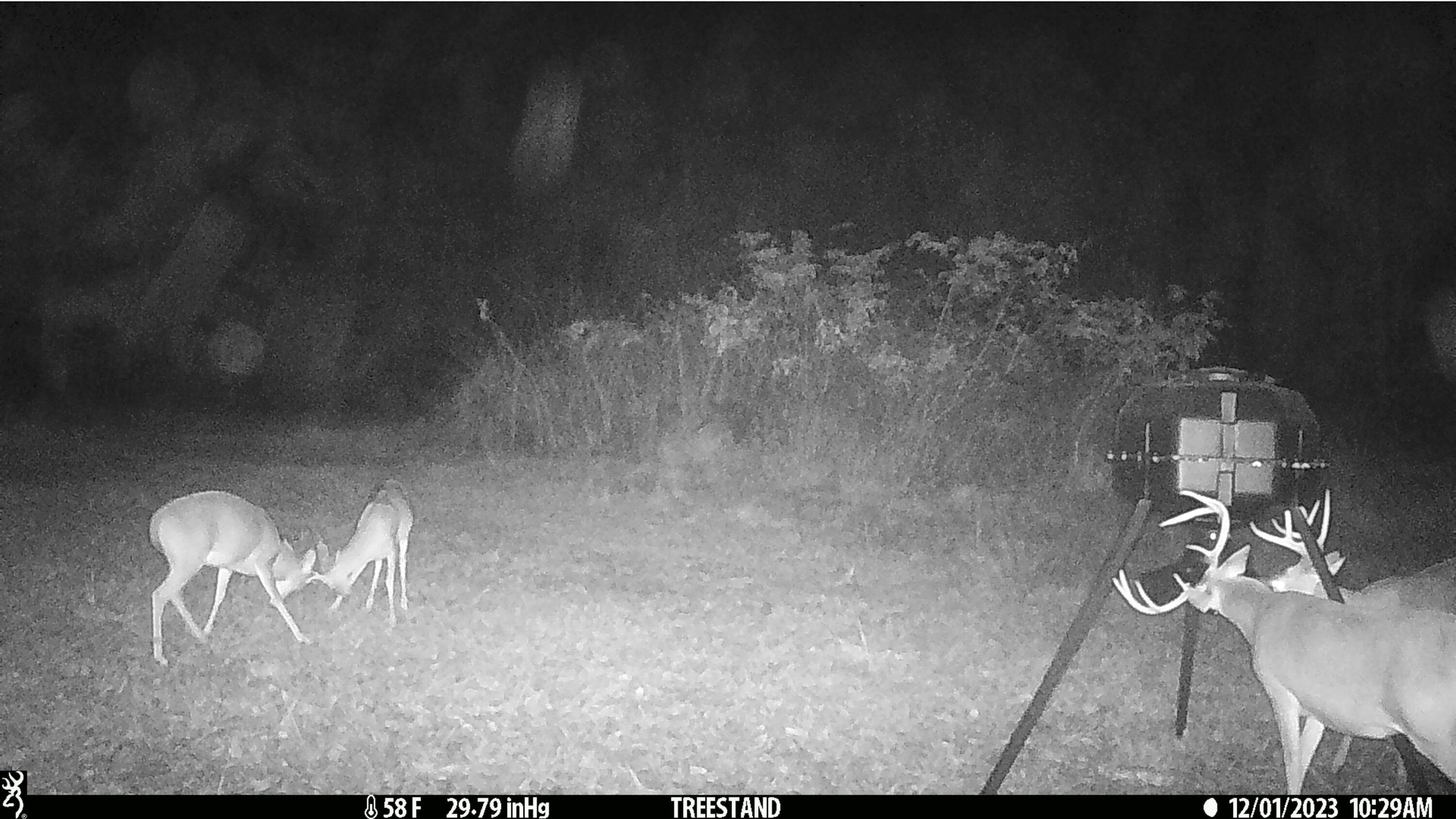 main property photo 53