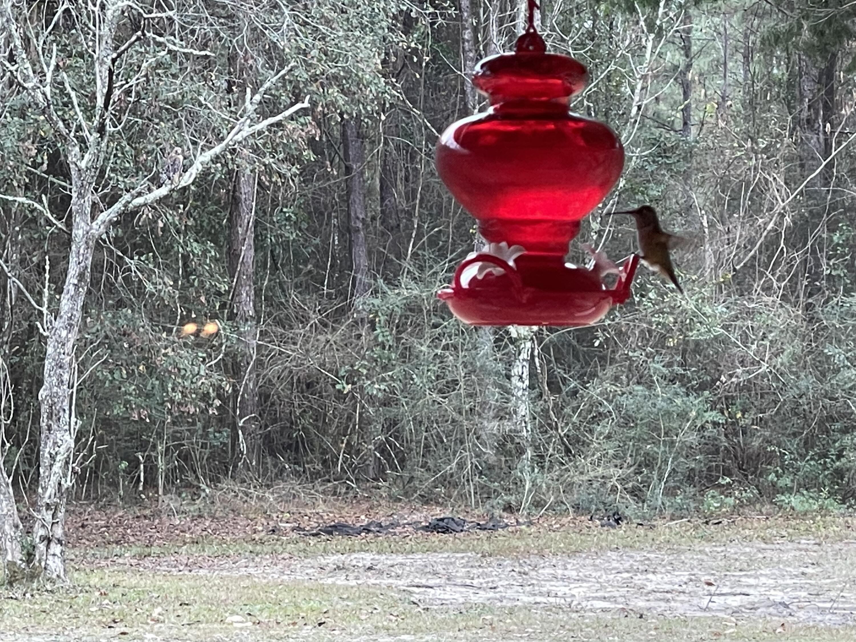 main property photo 63