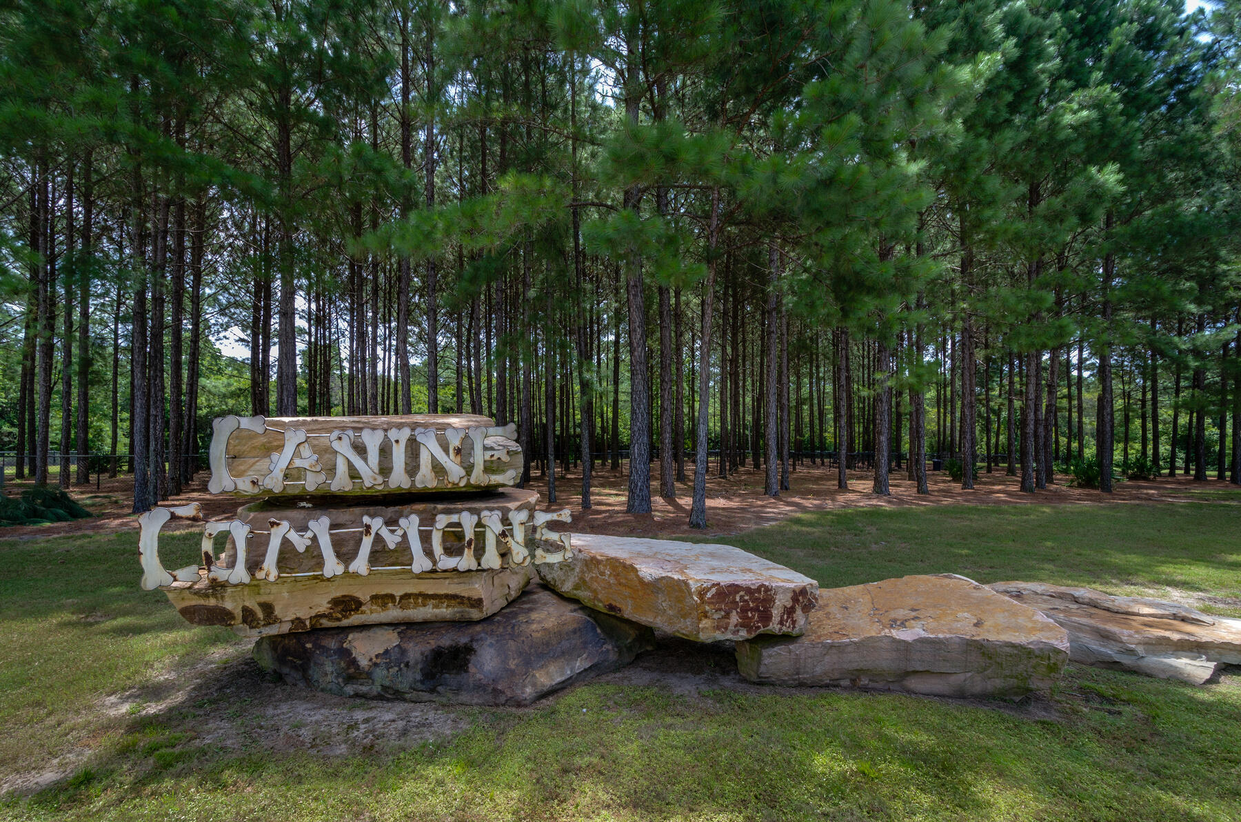 main property photo 74