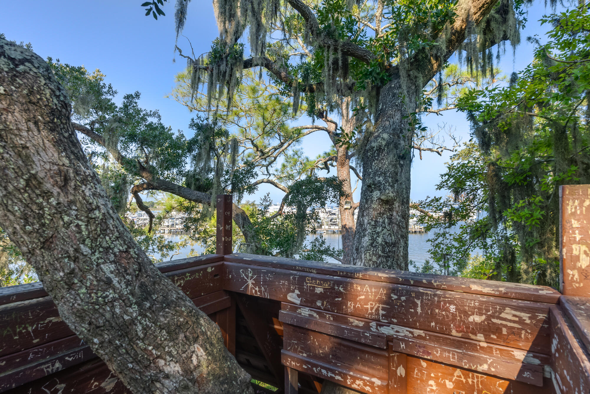 main property photo 78
