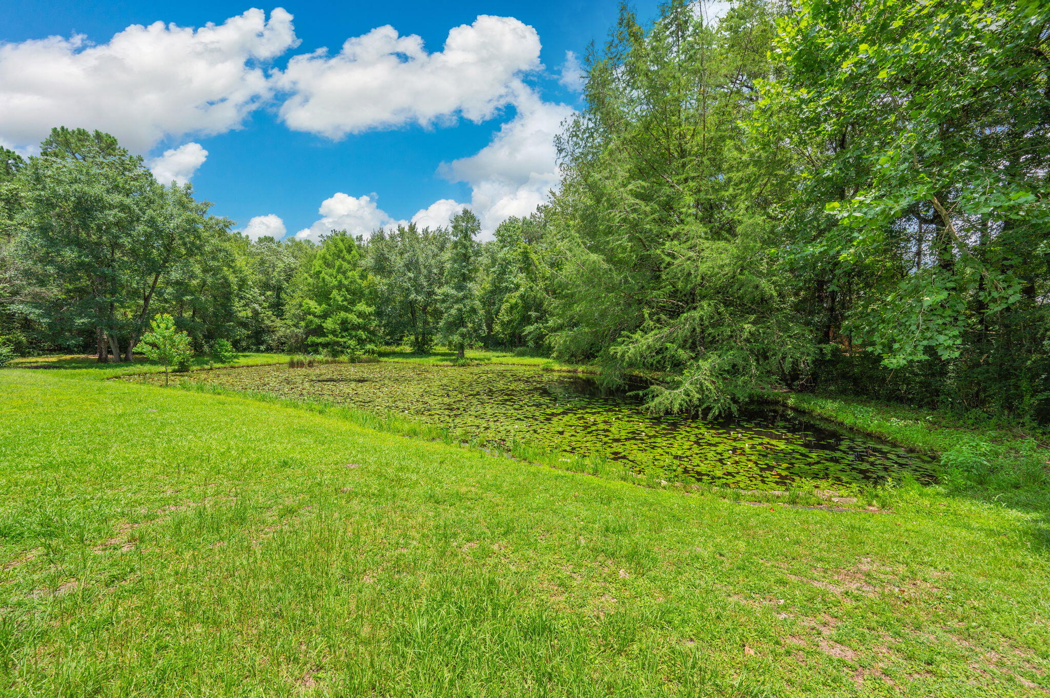 main property photo 48