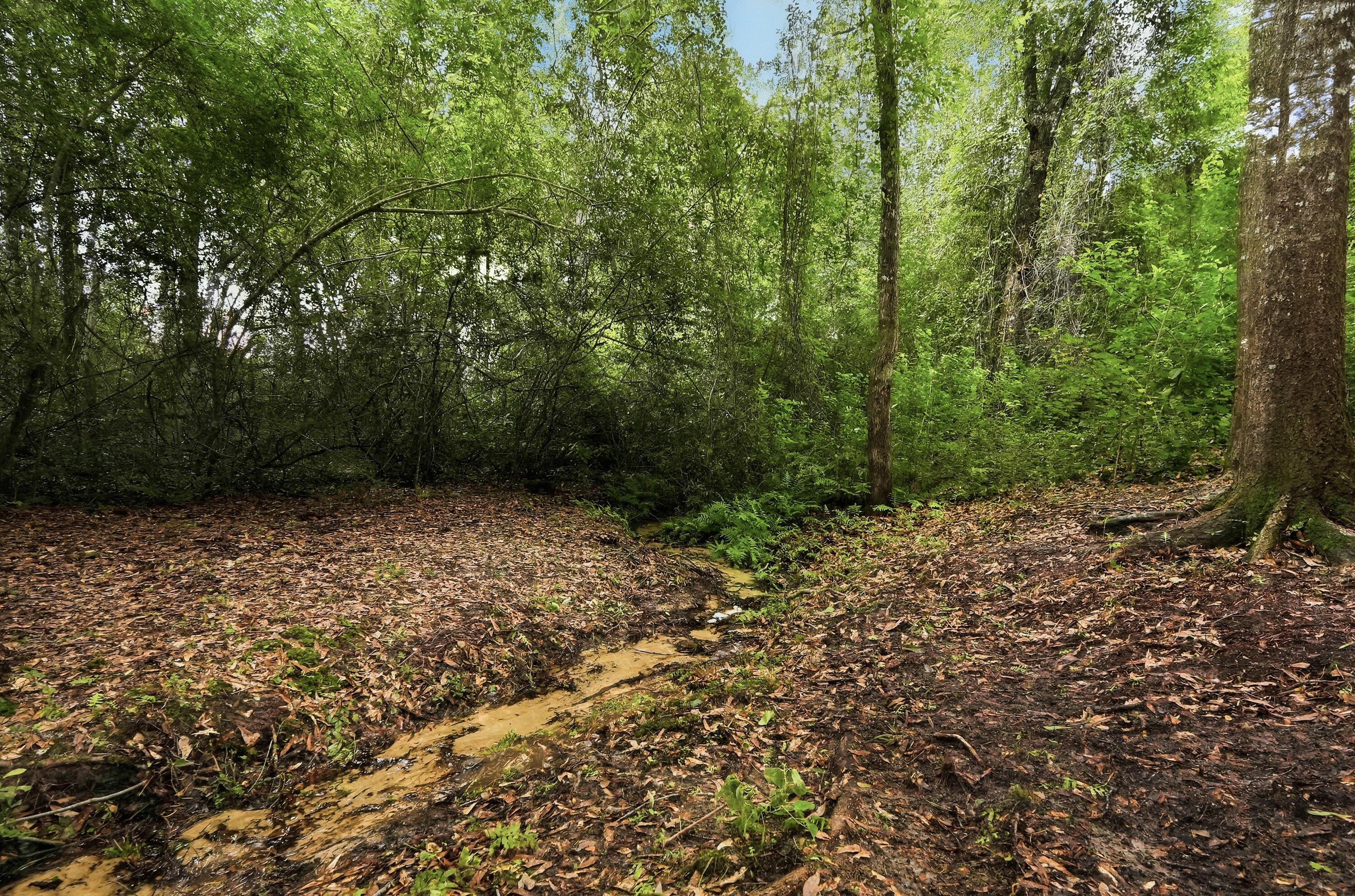 main property photo 51