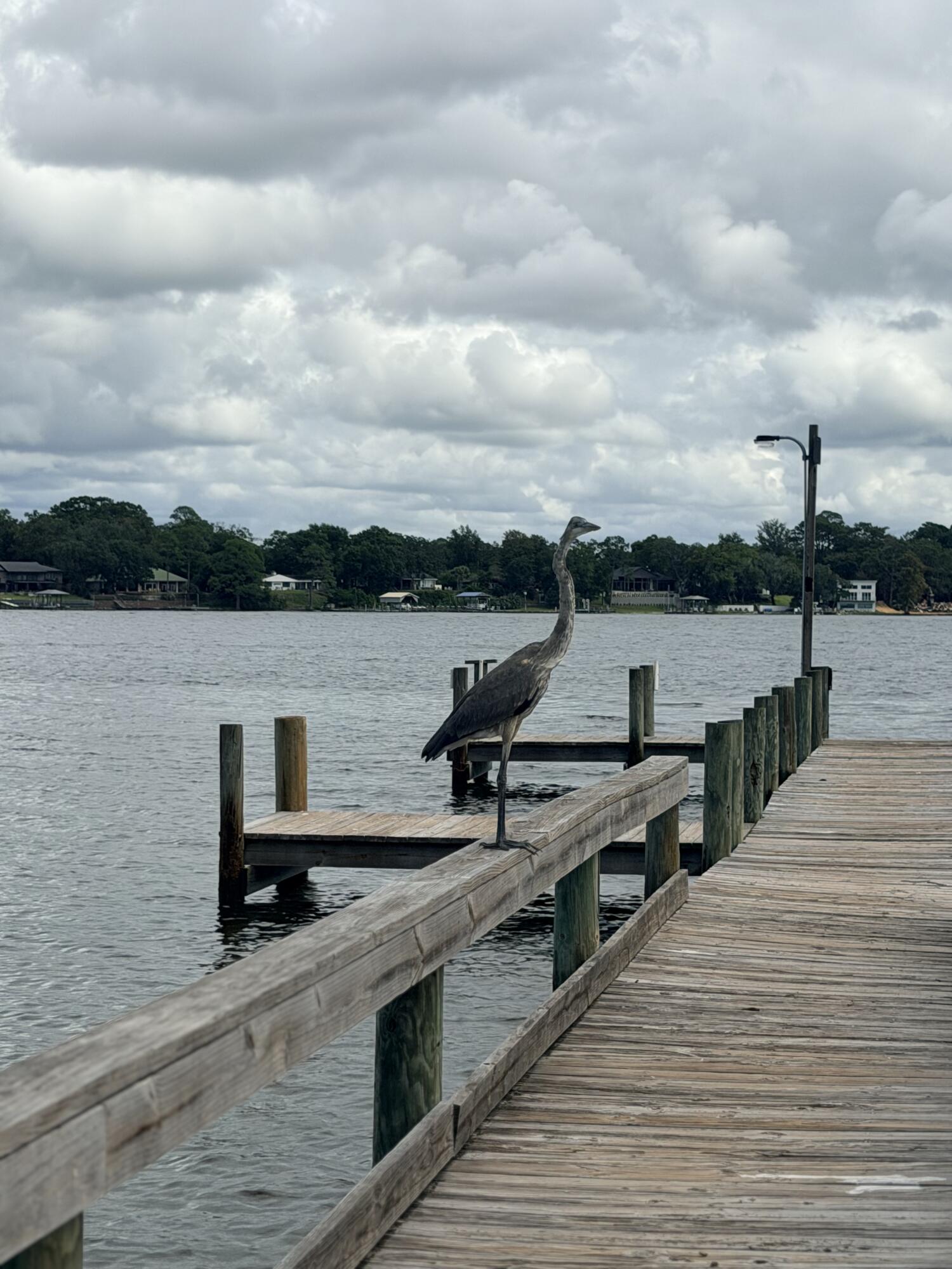 main property photo 56