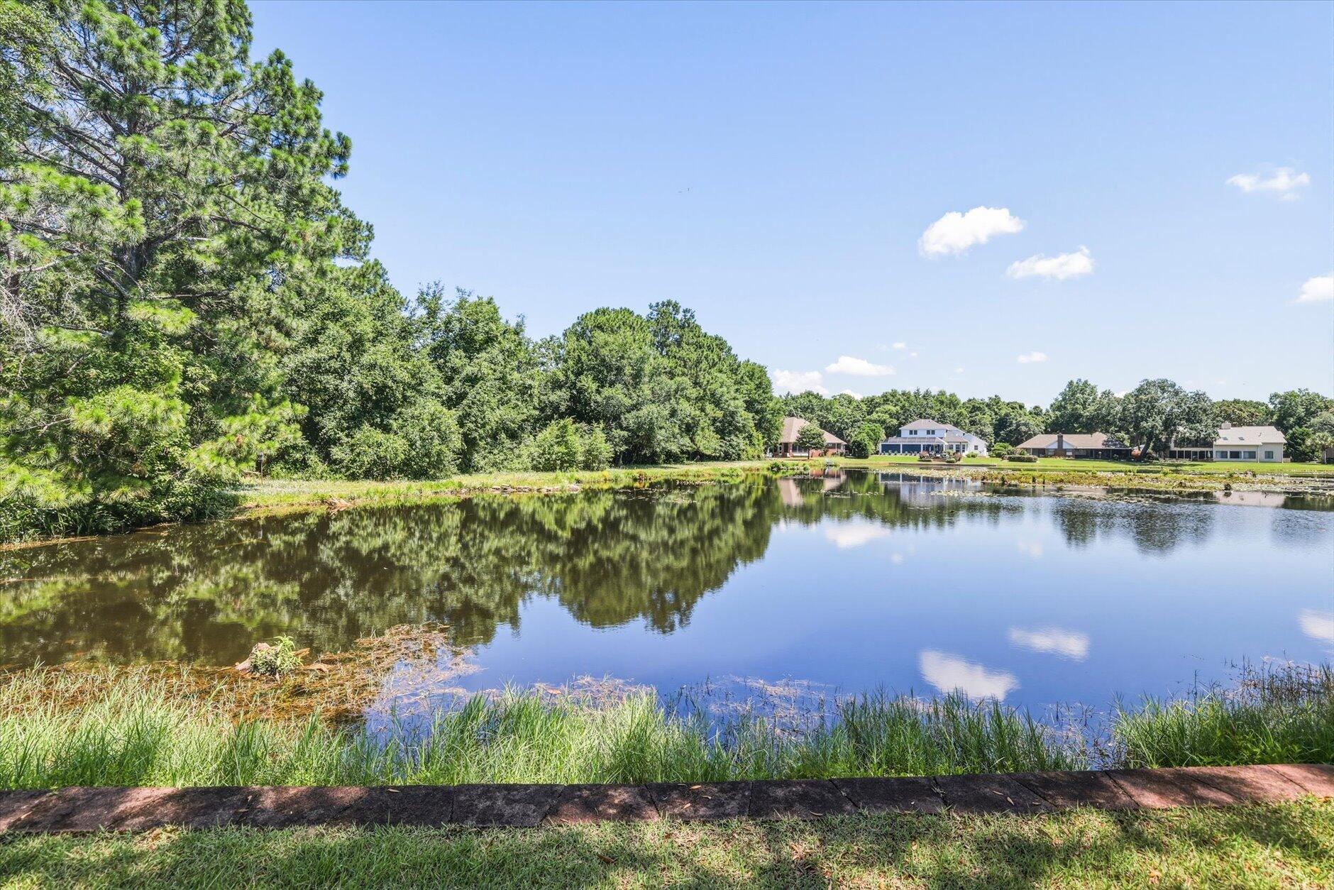 main property photo 79