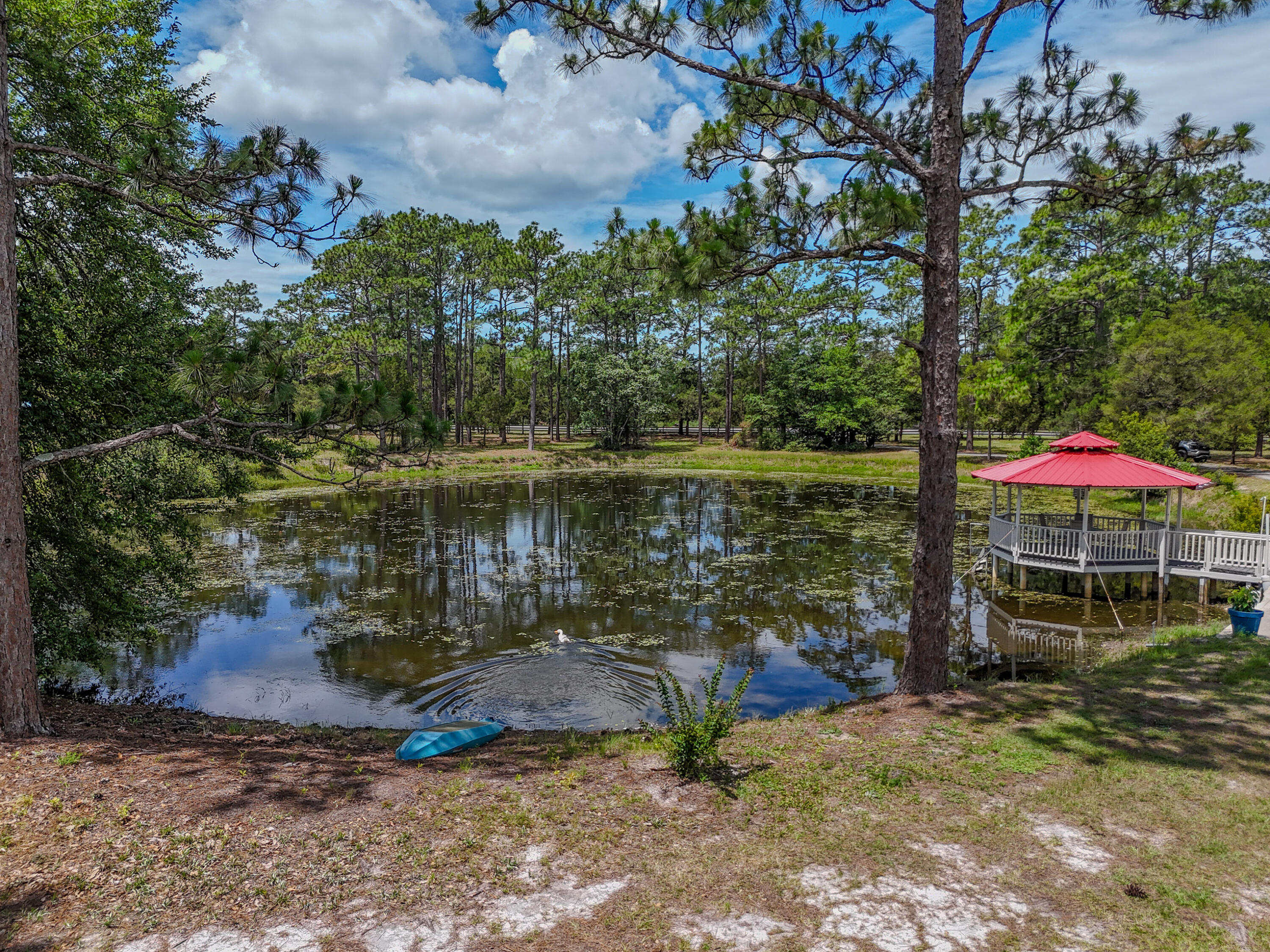 main property photo 91