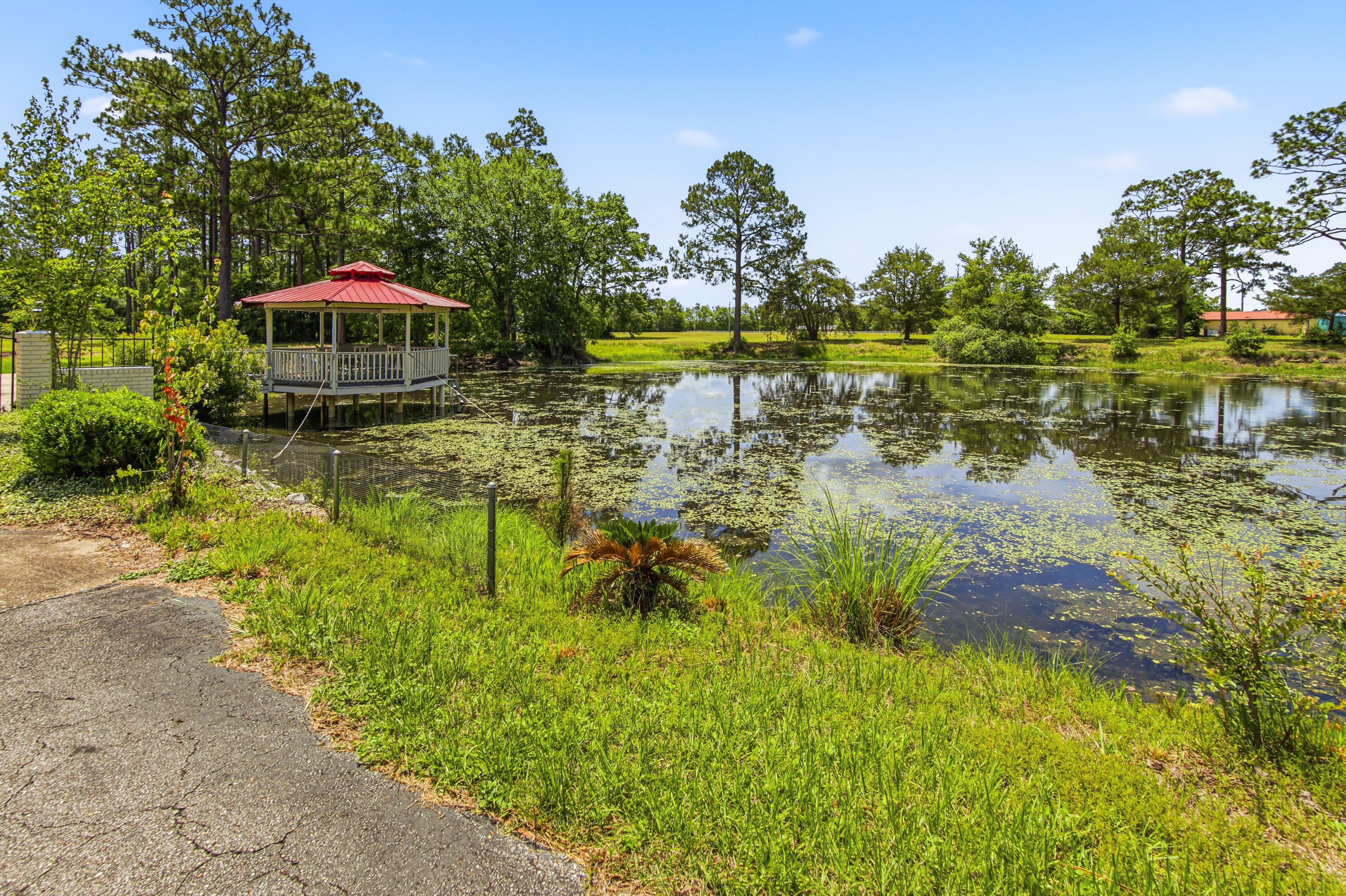 main property photo 97