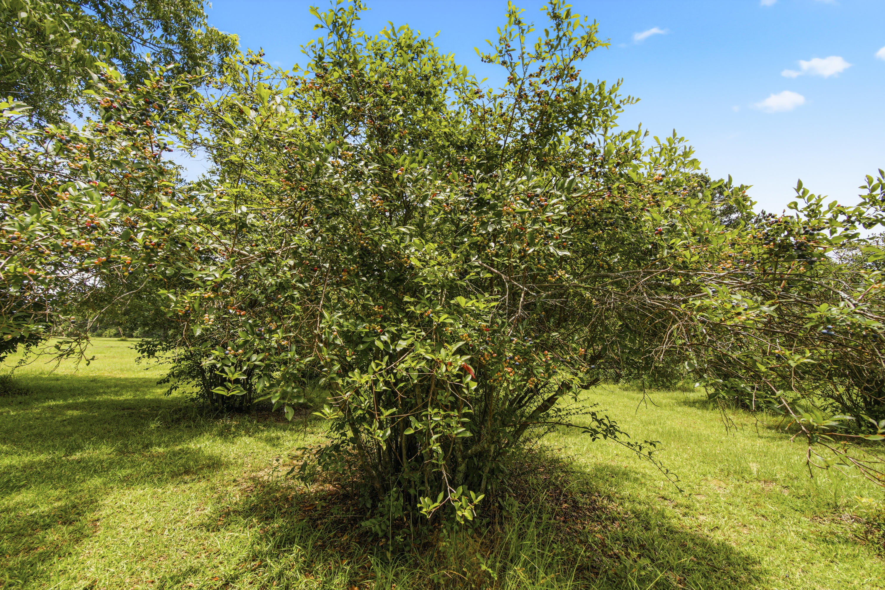 main property photo 55