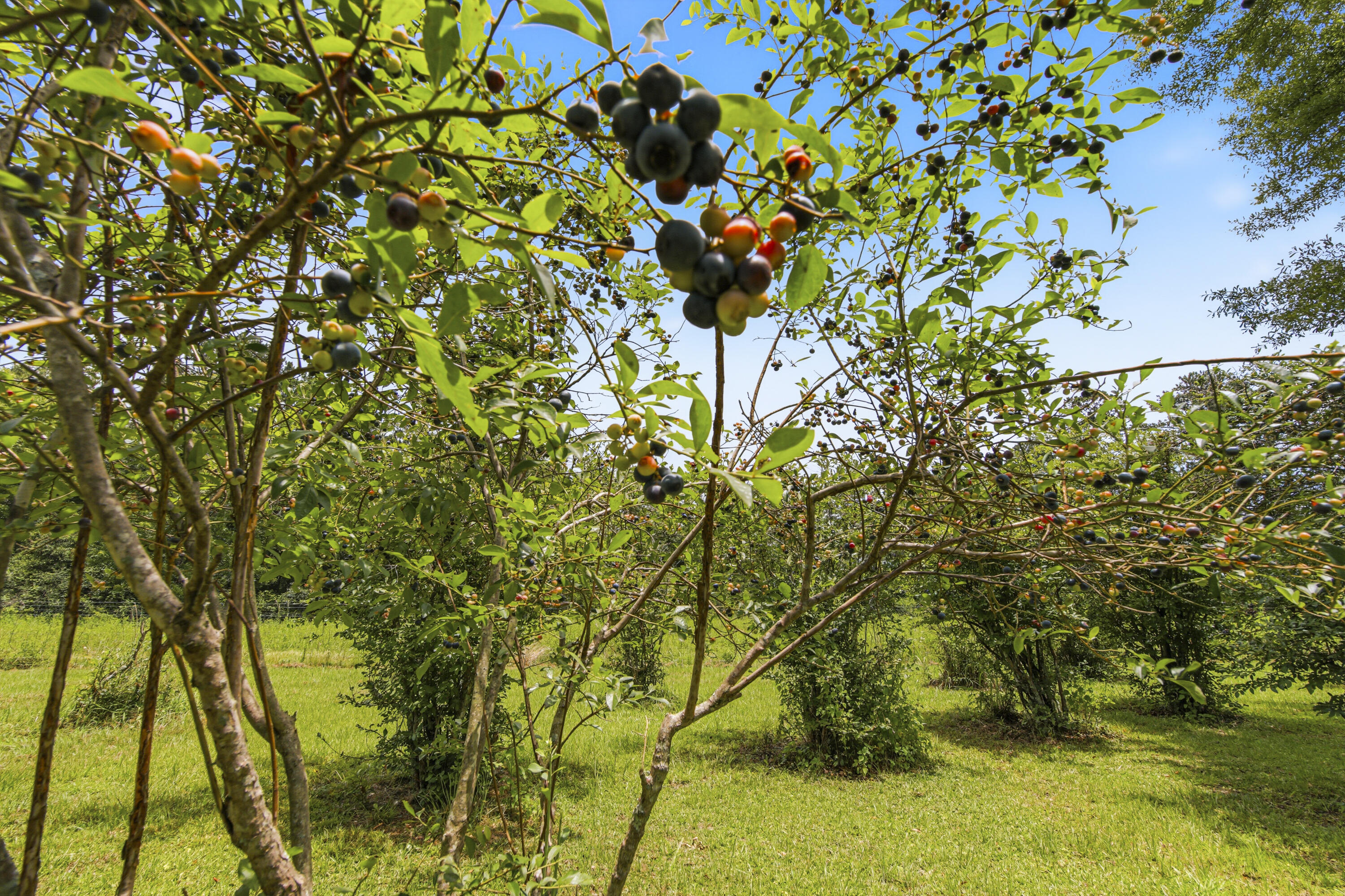 main property photo 57