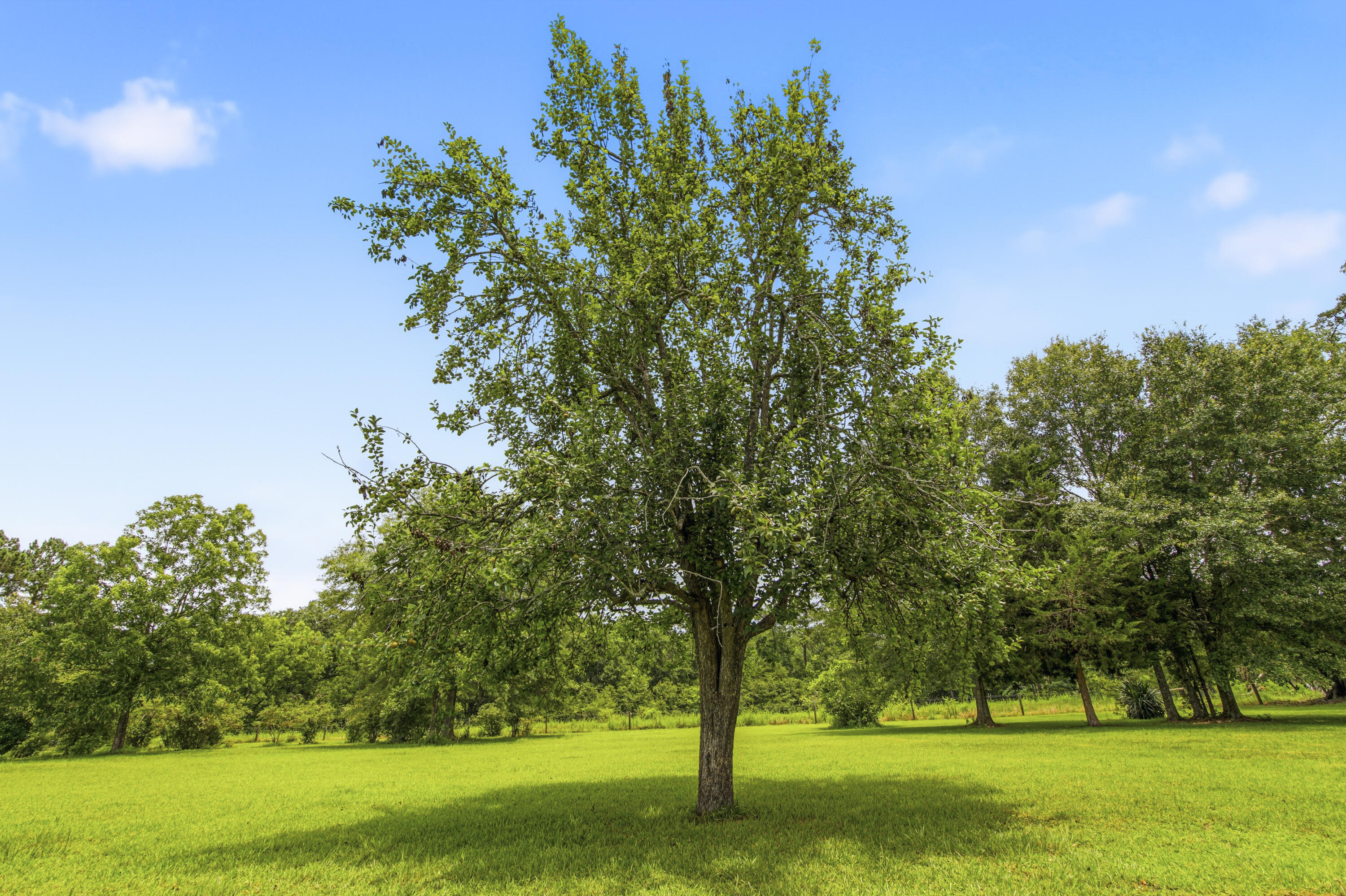 main property photo 60