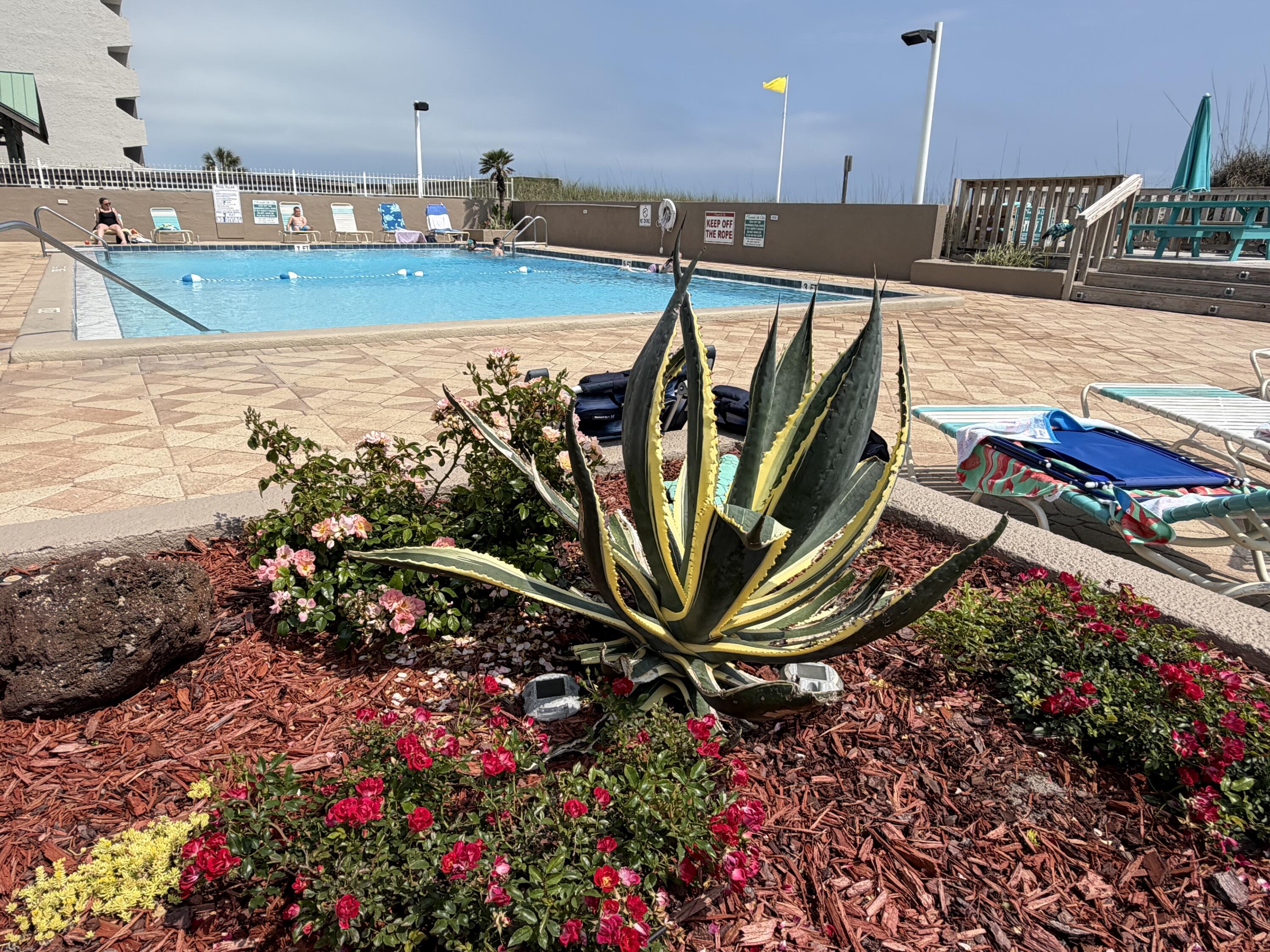 main property photo 97