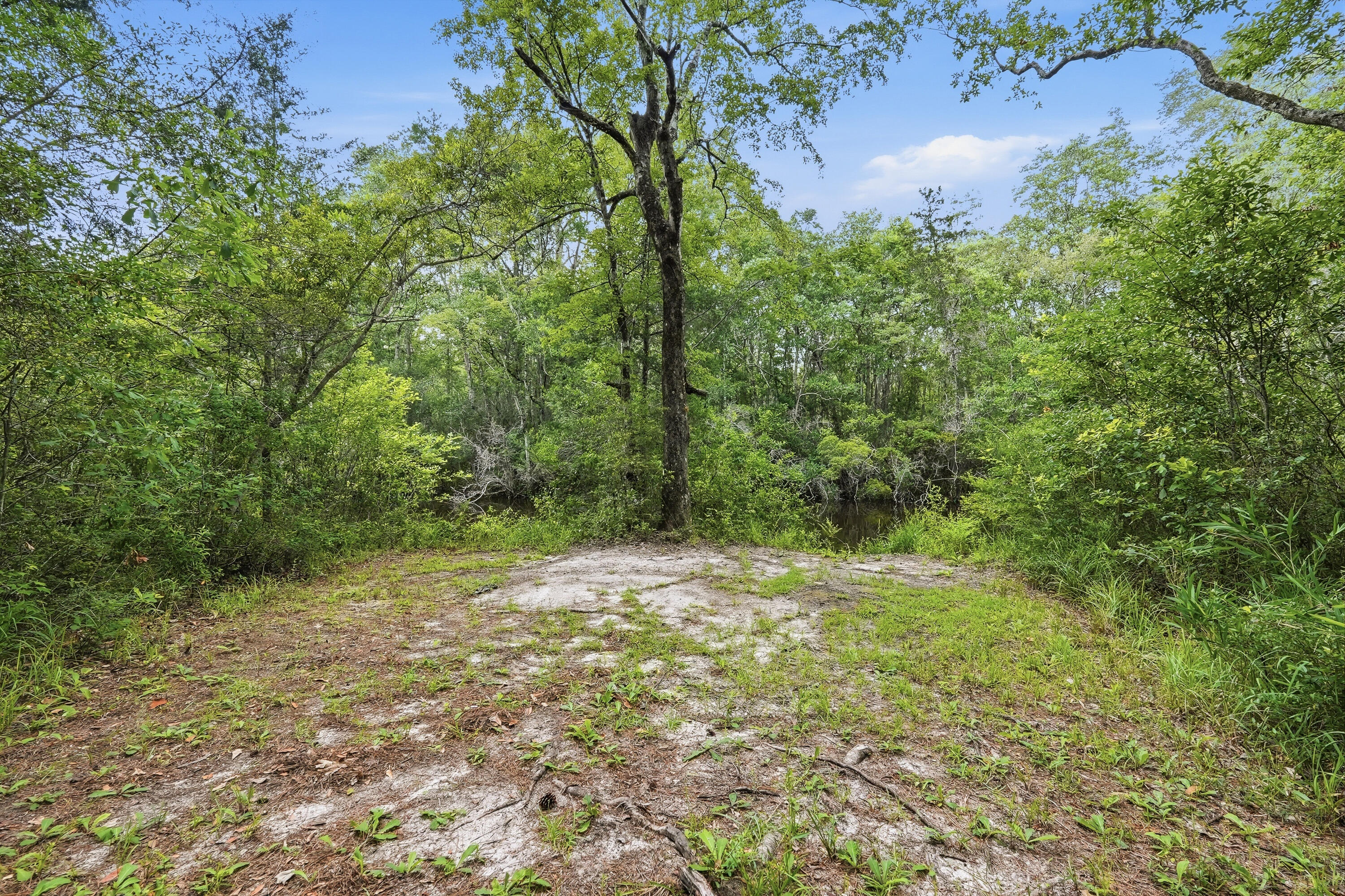 main property photo 65