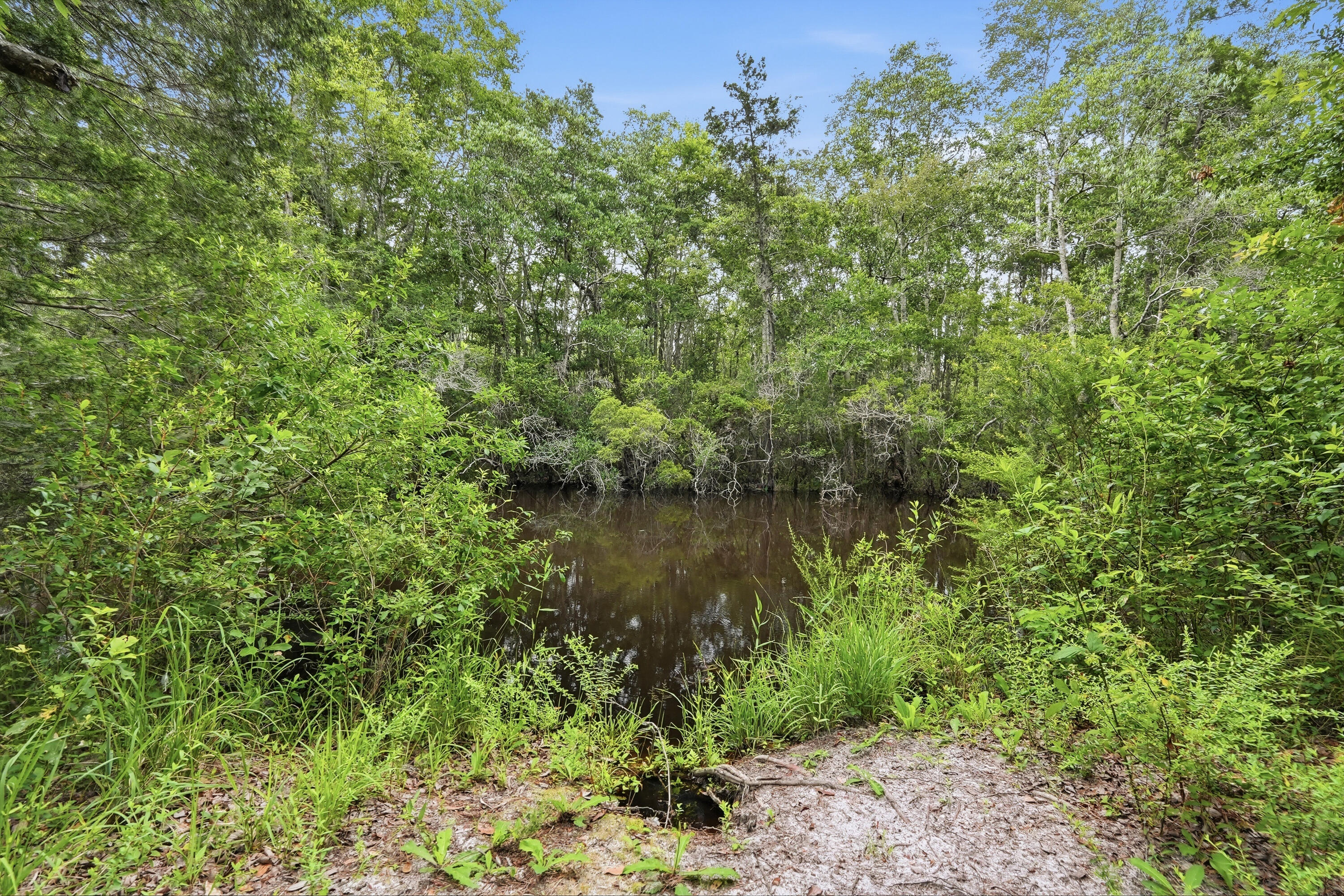 main property photo 66