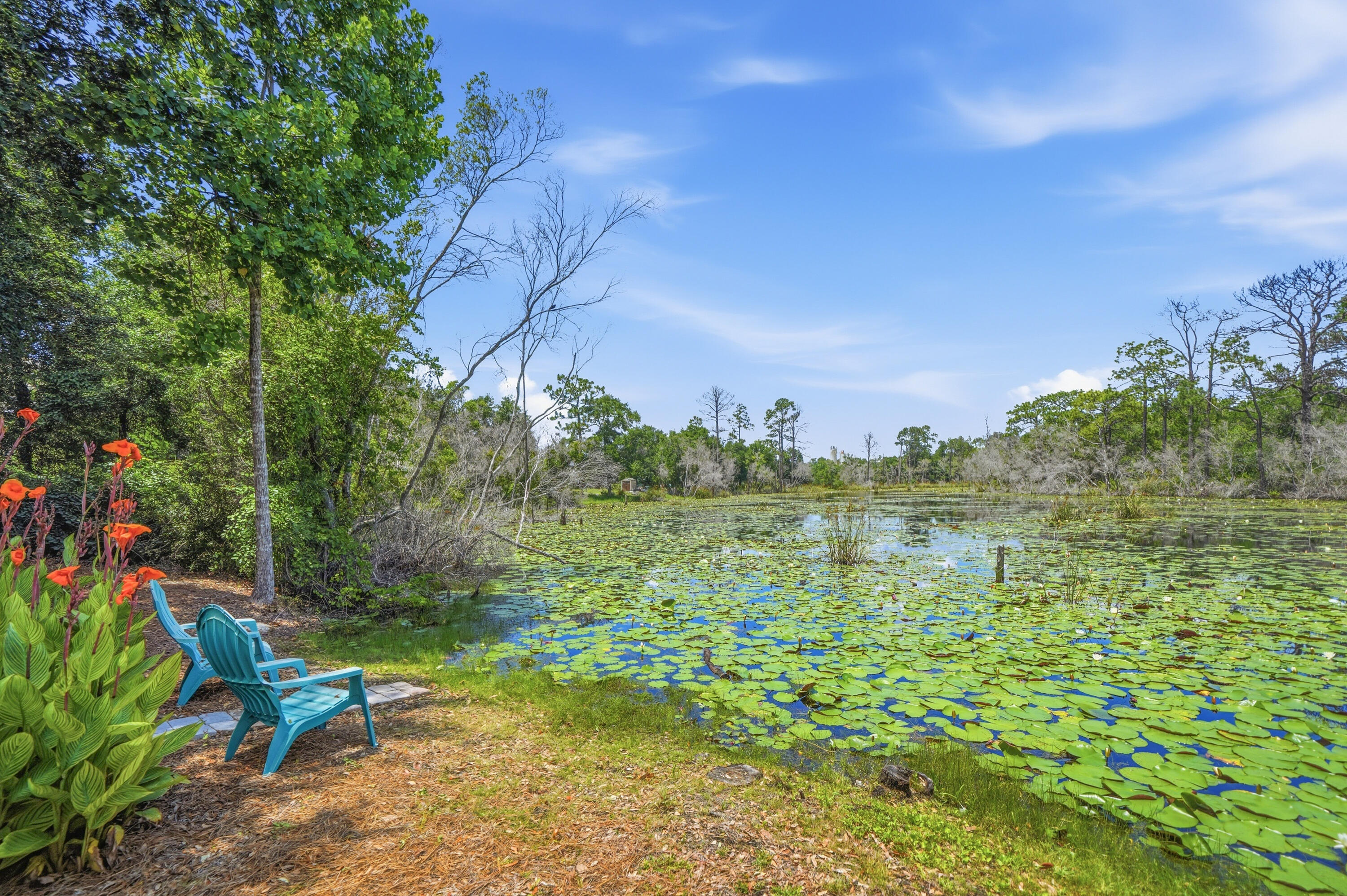 main property photo 57