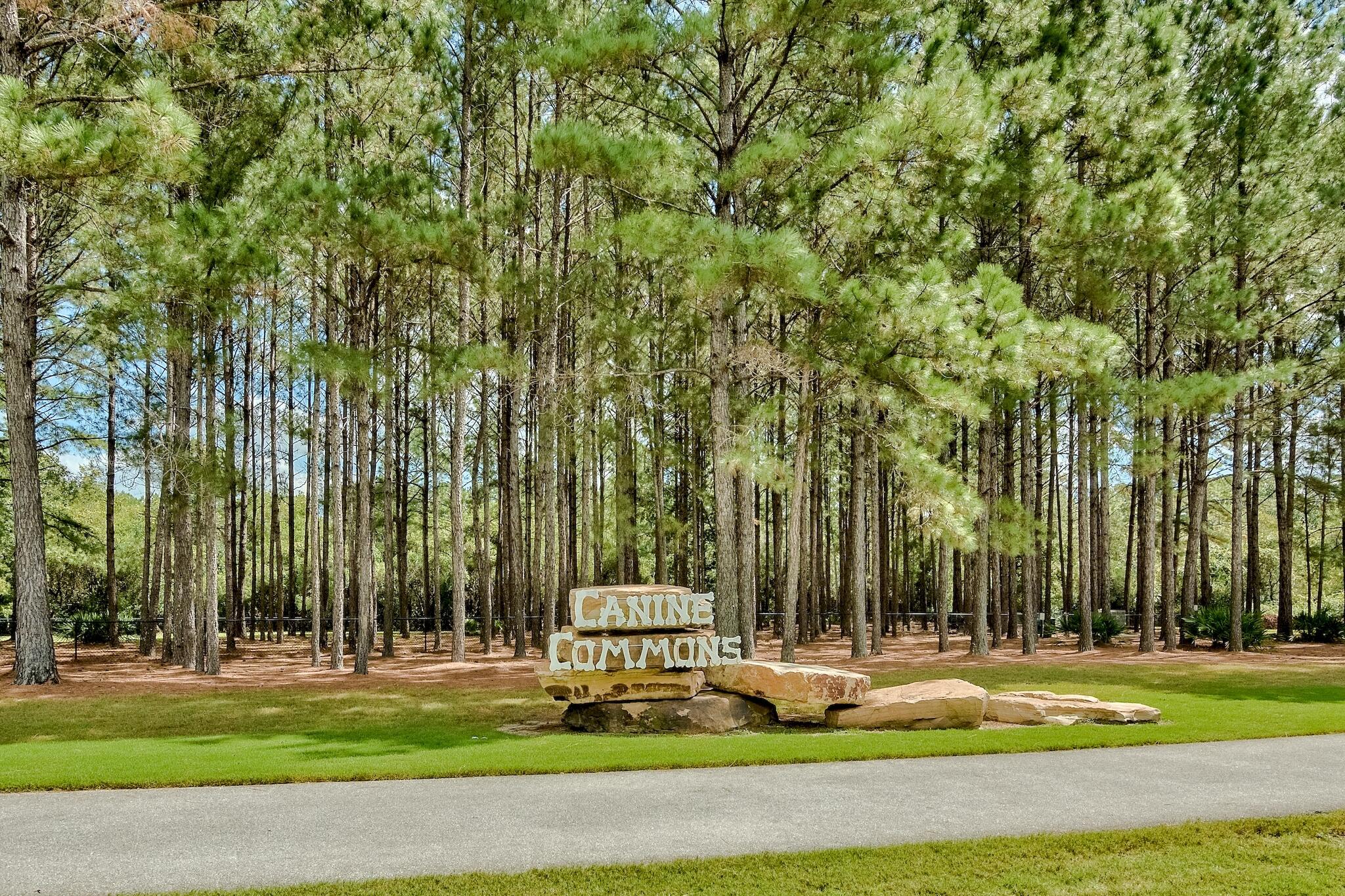 main property photo 75