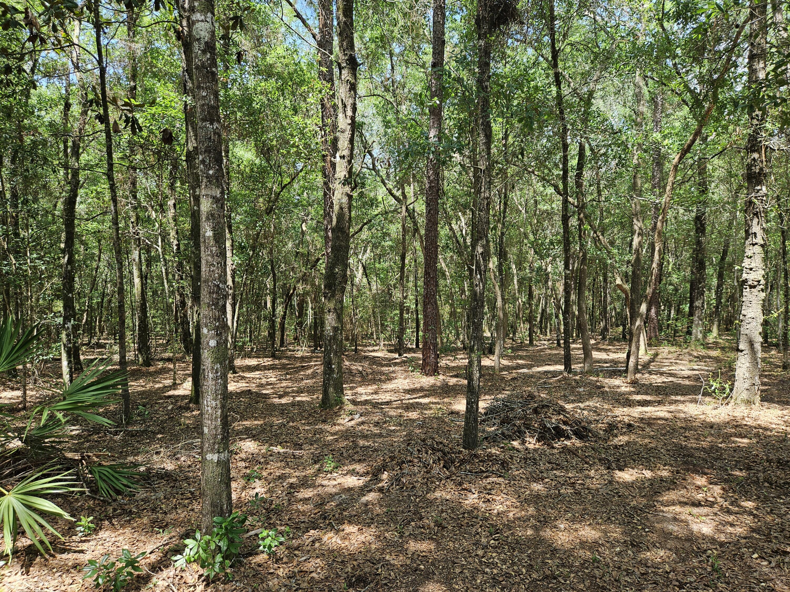 main property photo 35