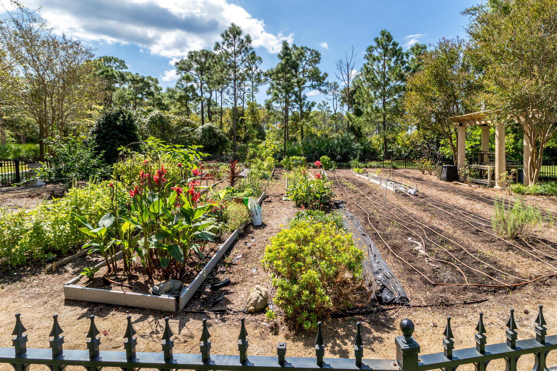 main property photo 101