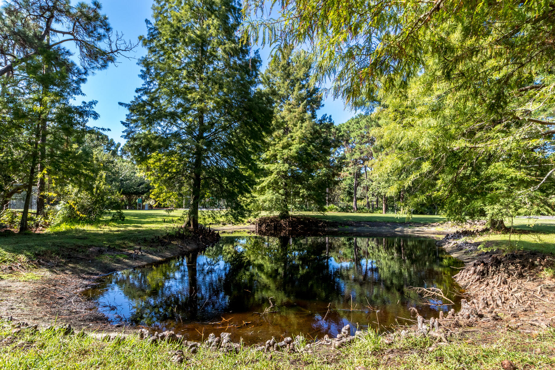 main property photo 140