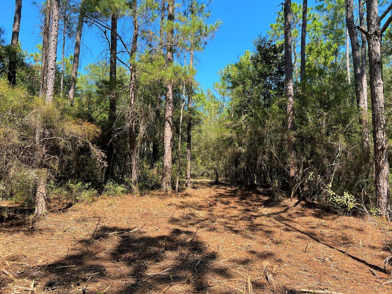 main property photo 11