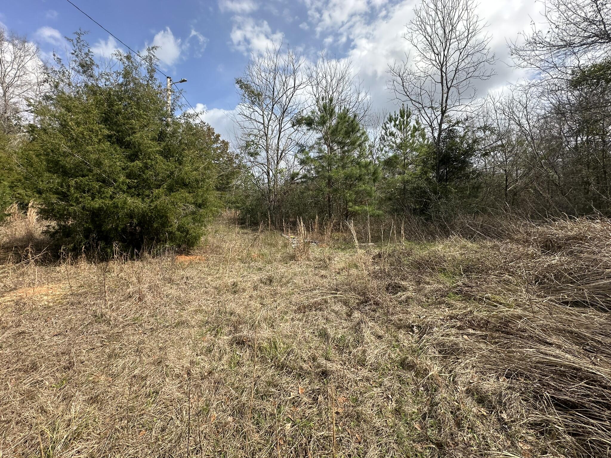 main property photo 9