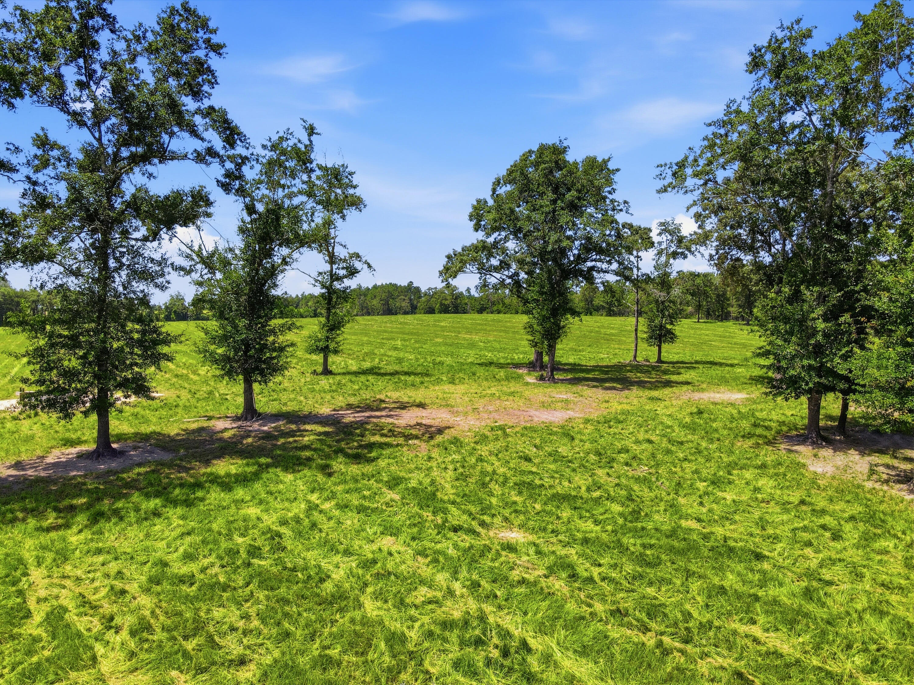 main property photo 66