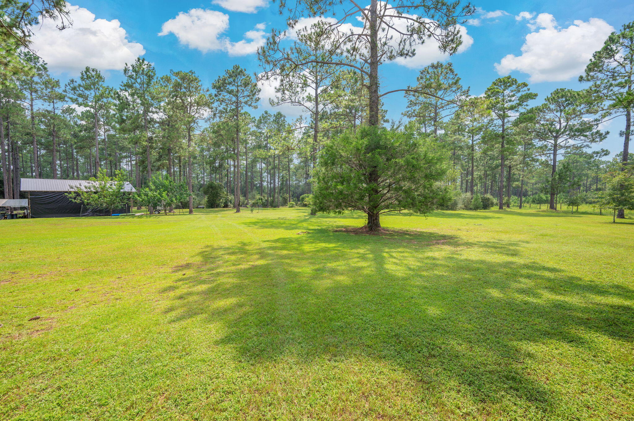 main property photo 38