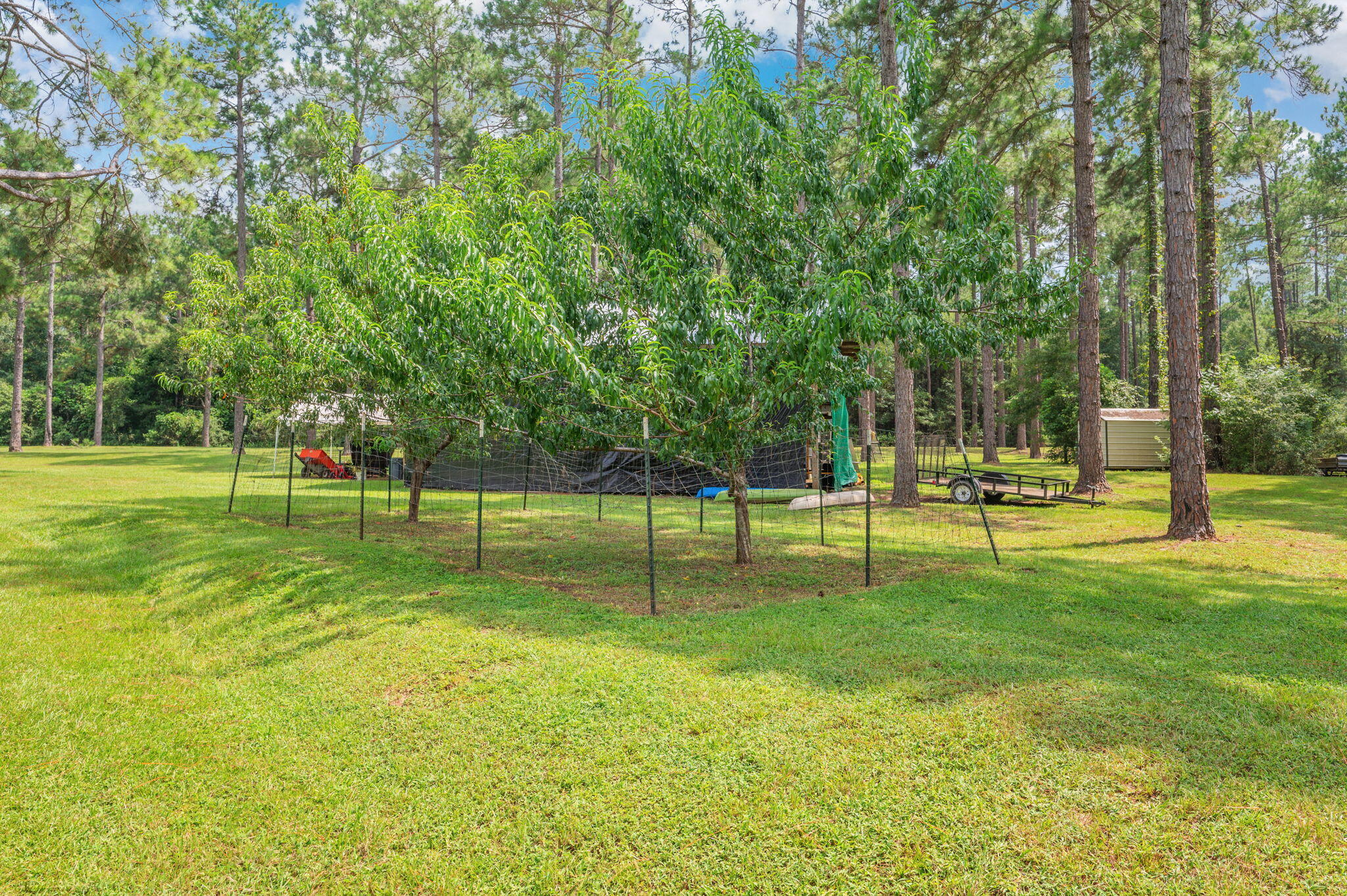 main property photo 39