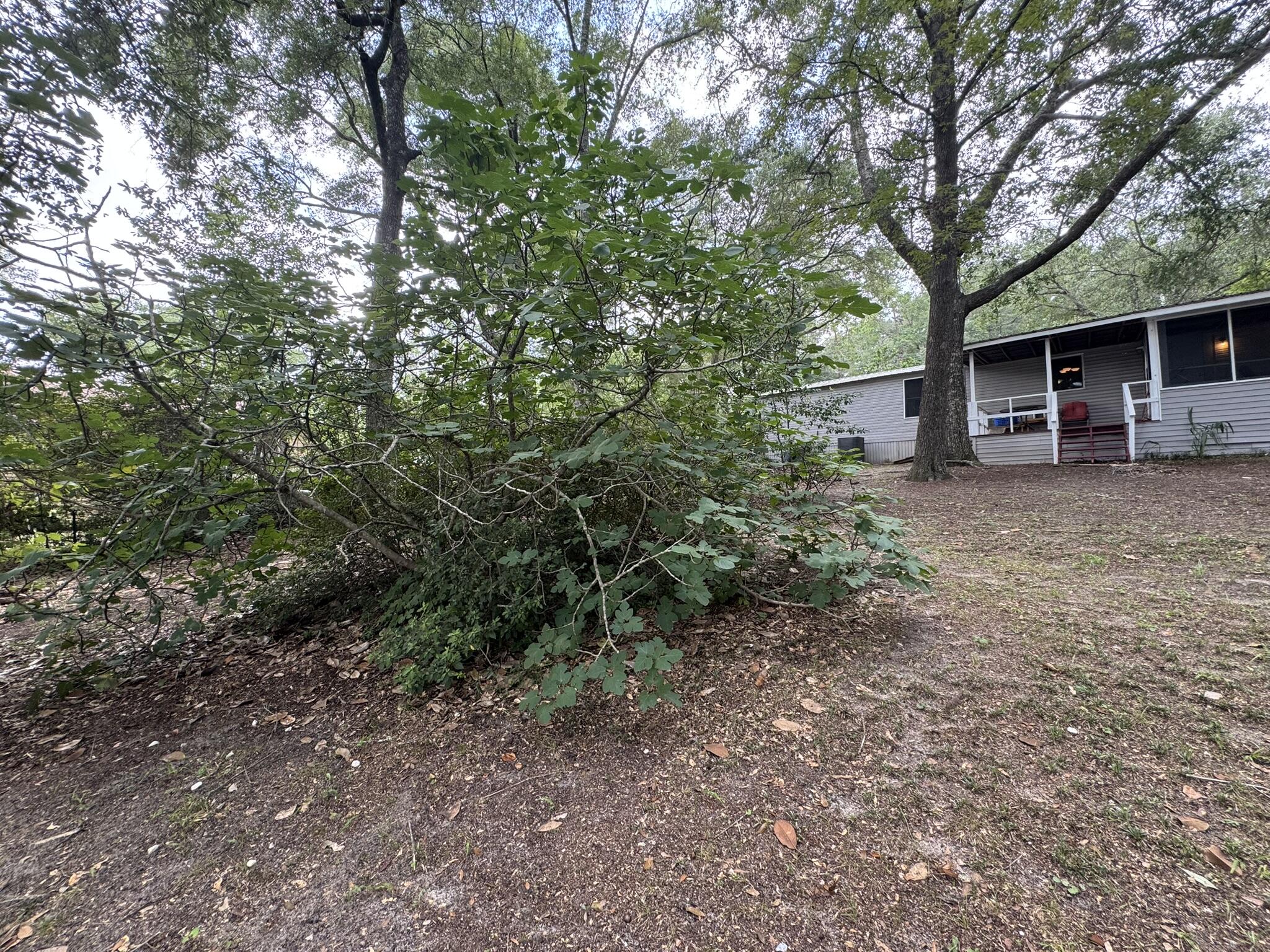 main property photo 43