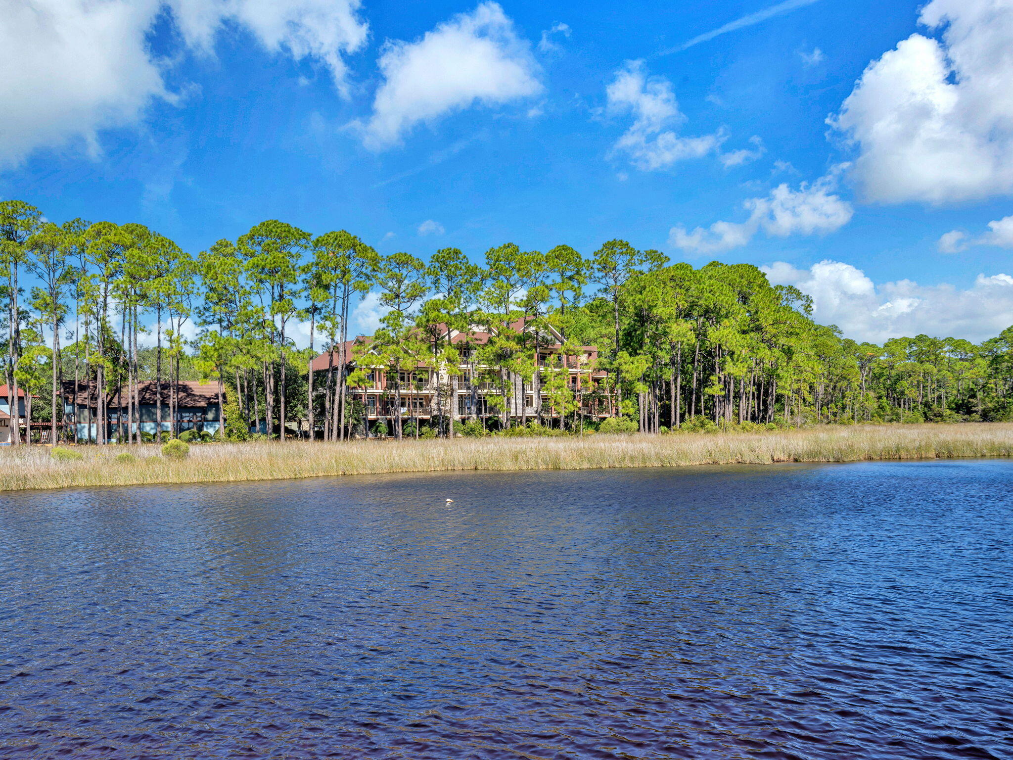 main property photo 62