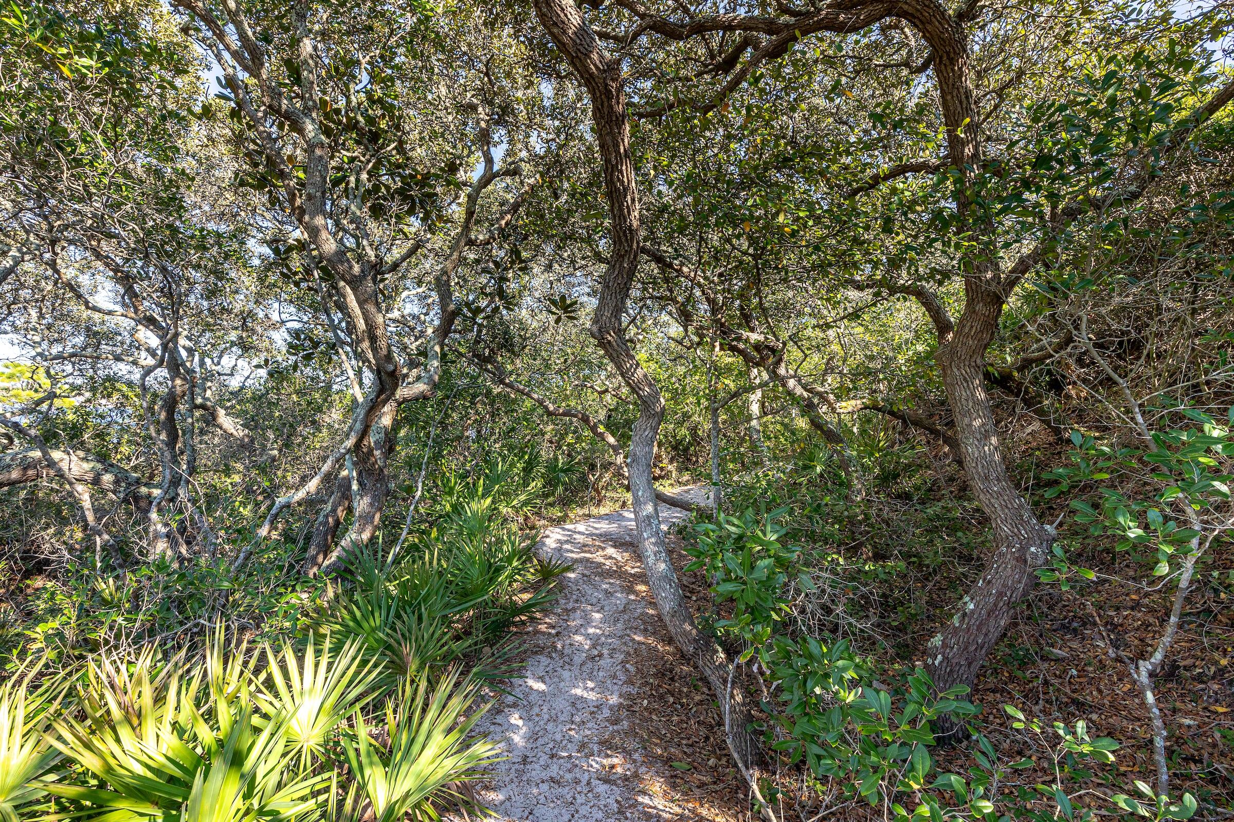 main property photo 51