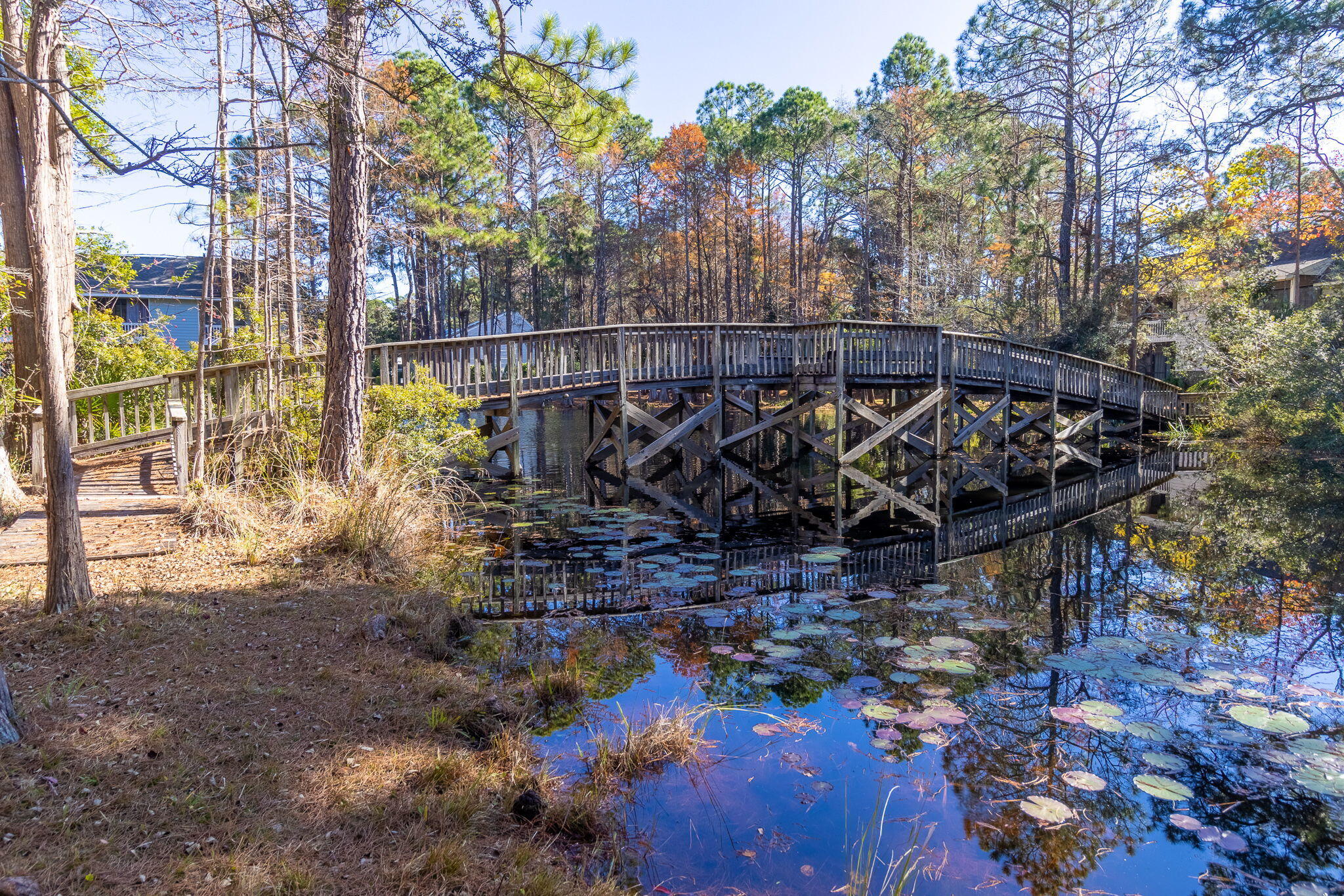 main property photo 68