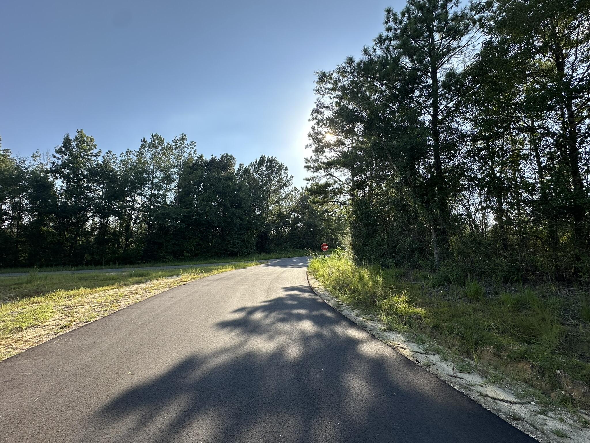 main property photo 7