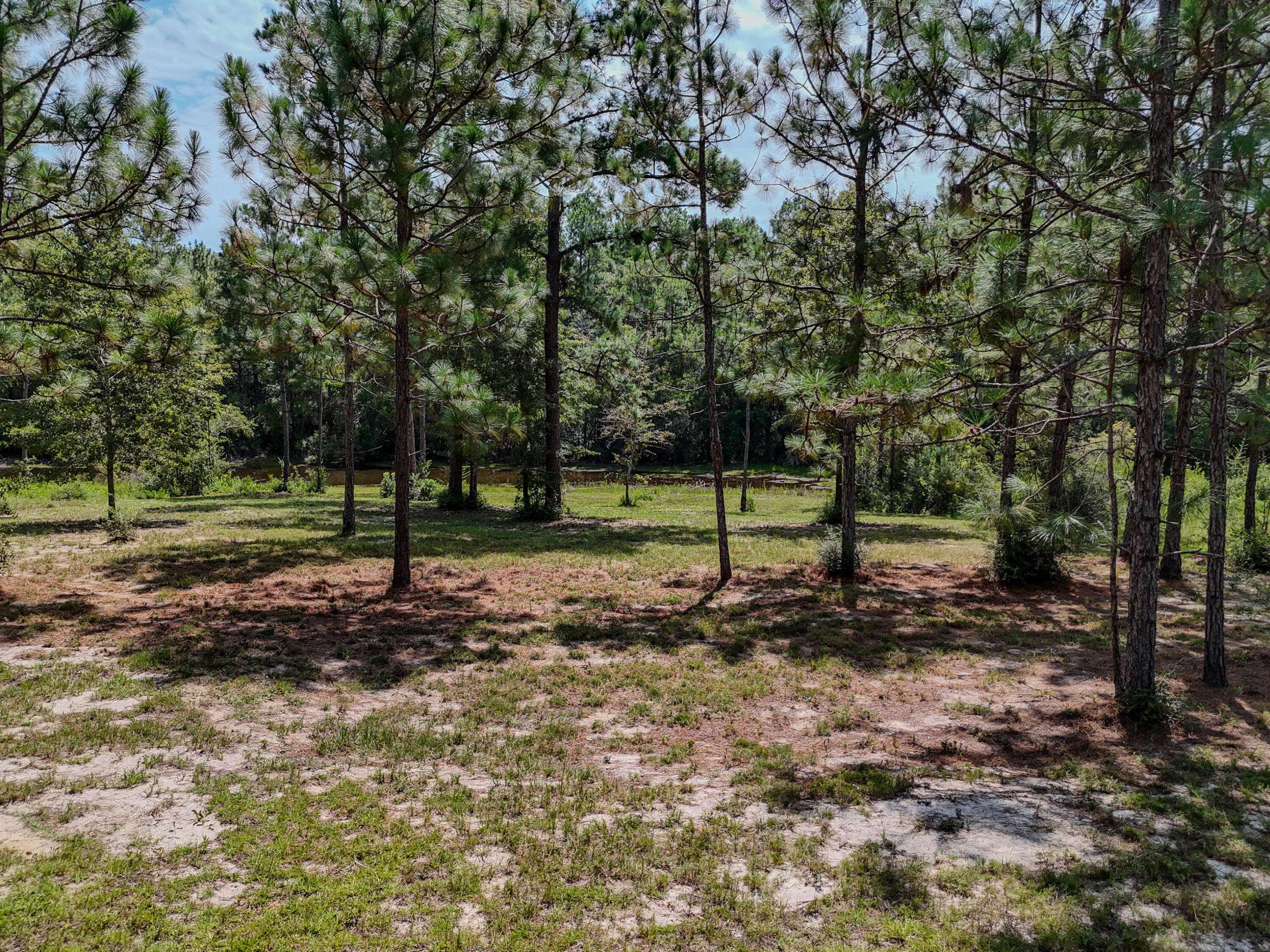 main property photo 39