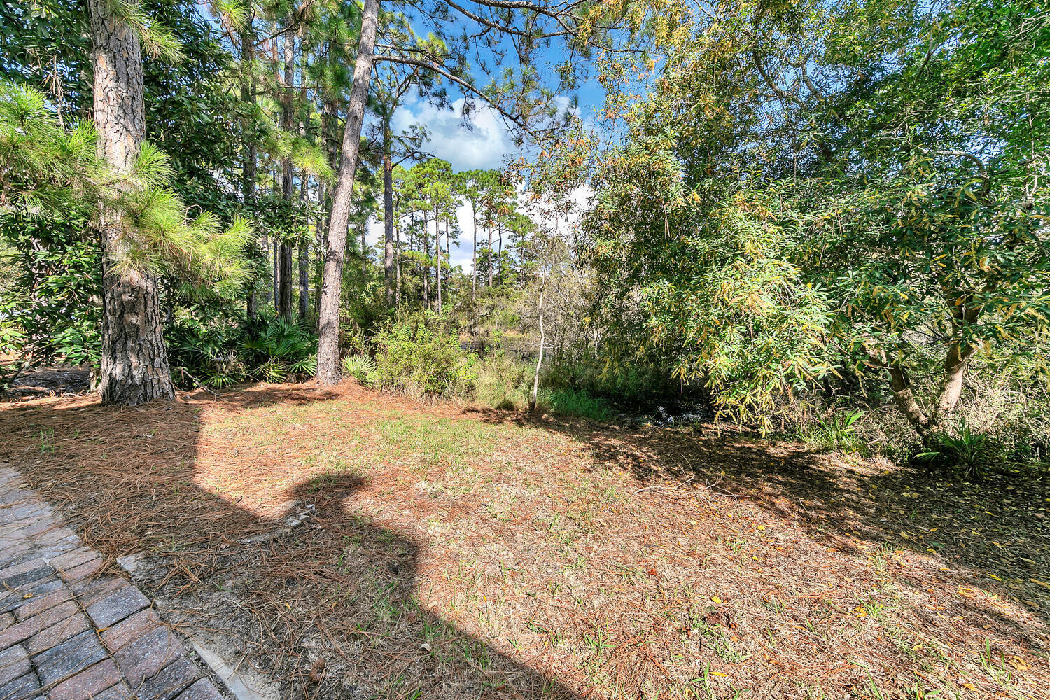 main property photo 55