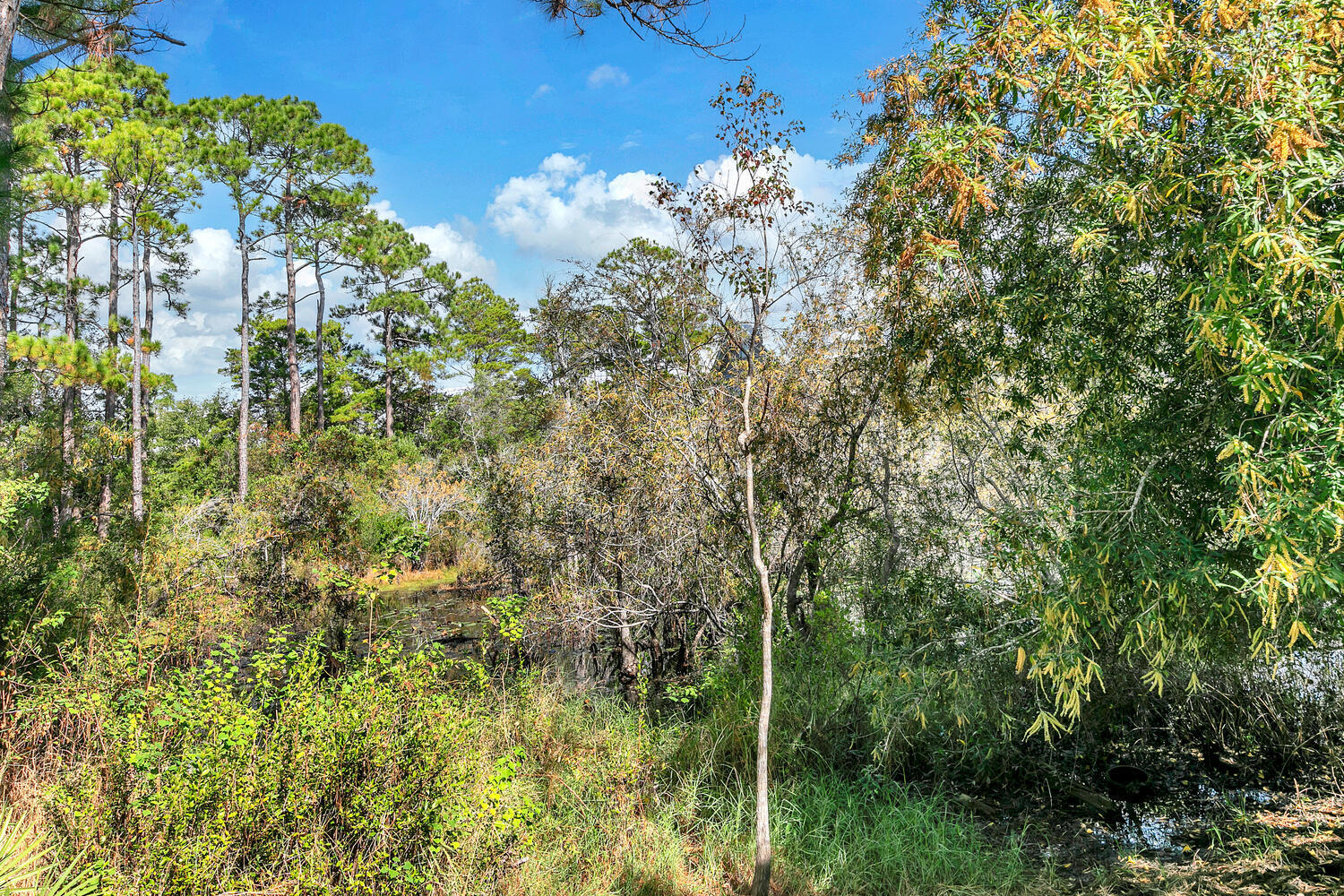 main property photo 59