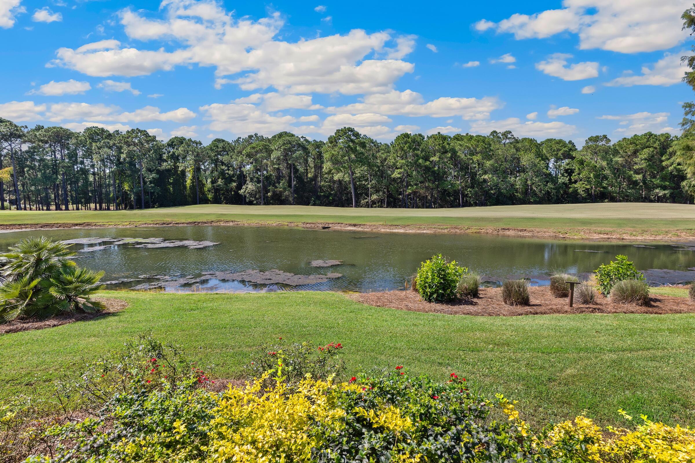 main property photo 88