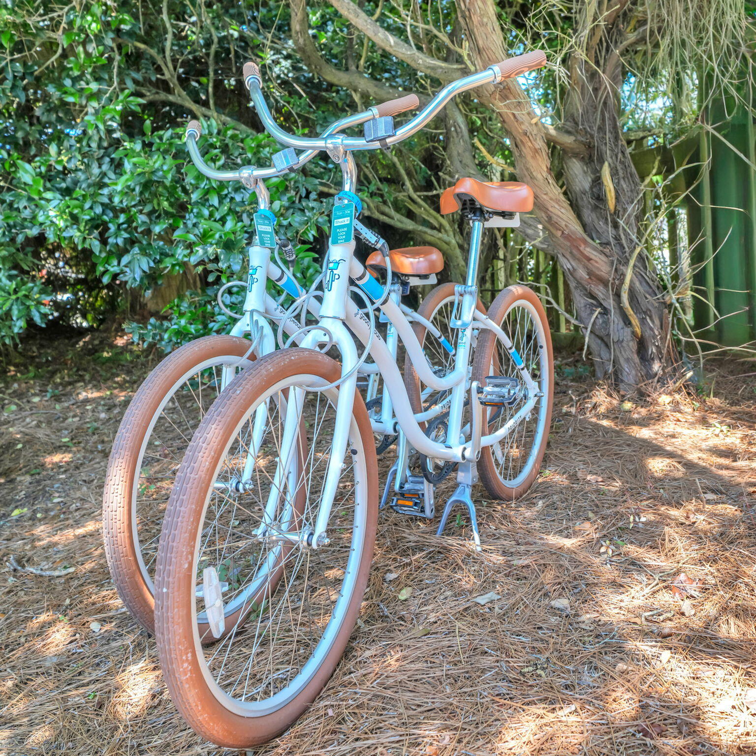 main property photo 64