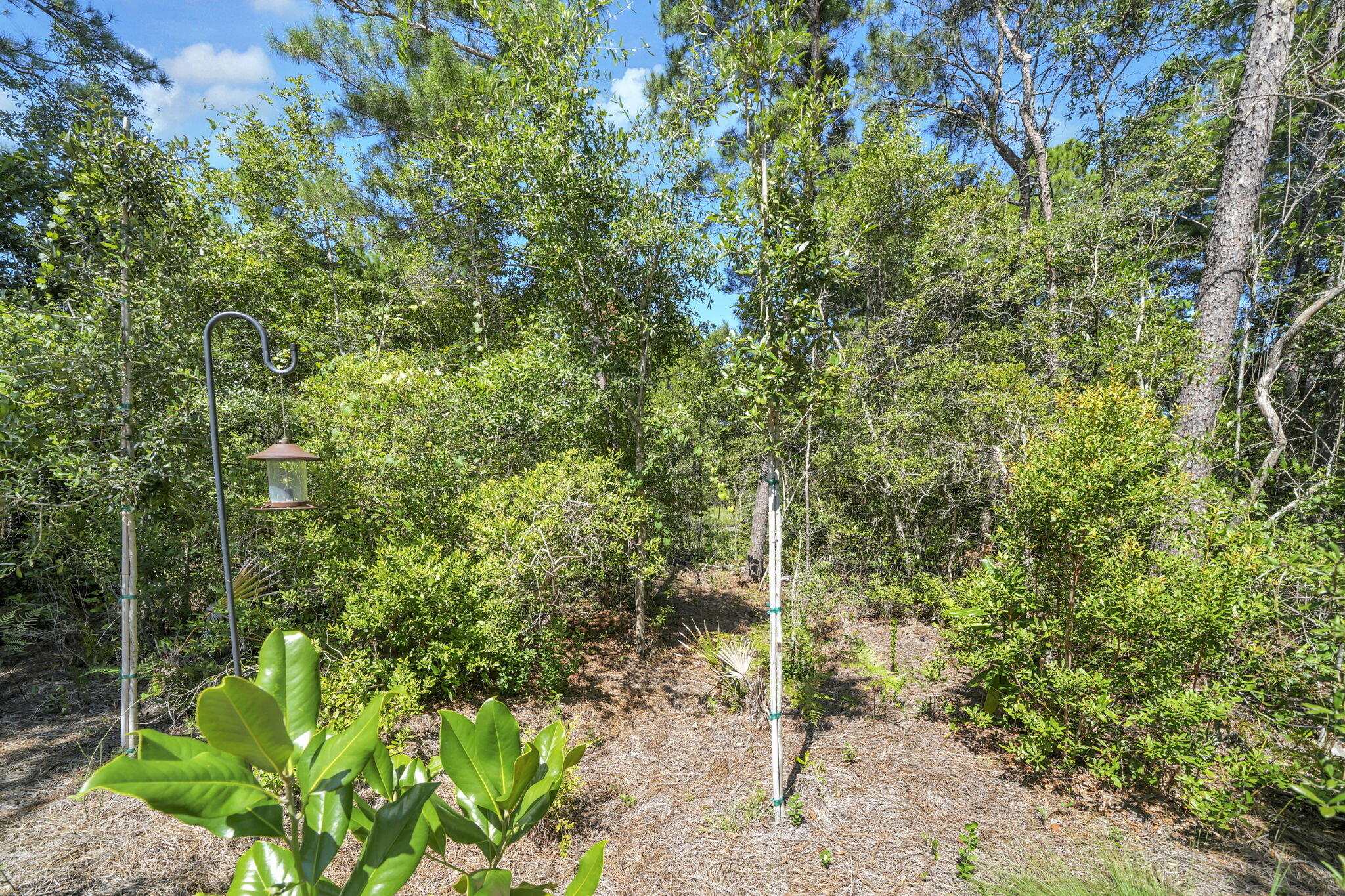 main property photo 62