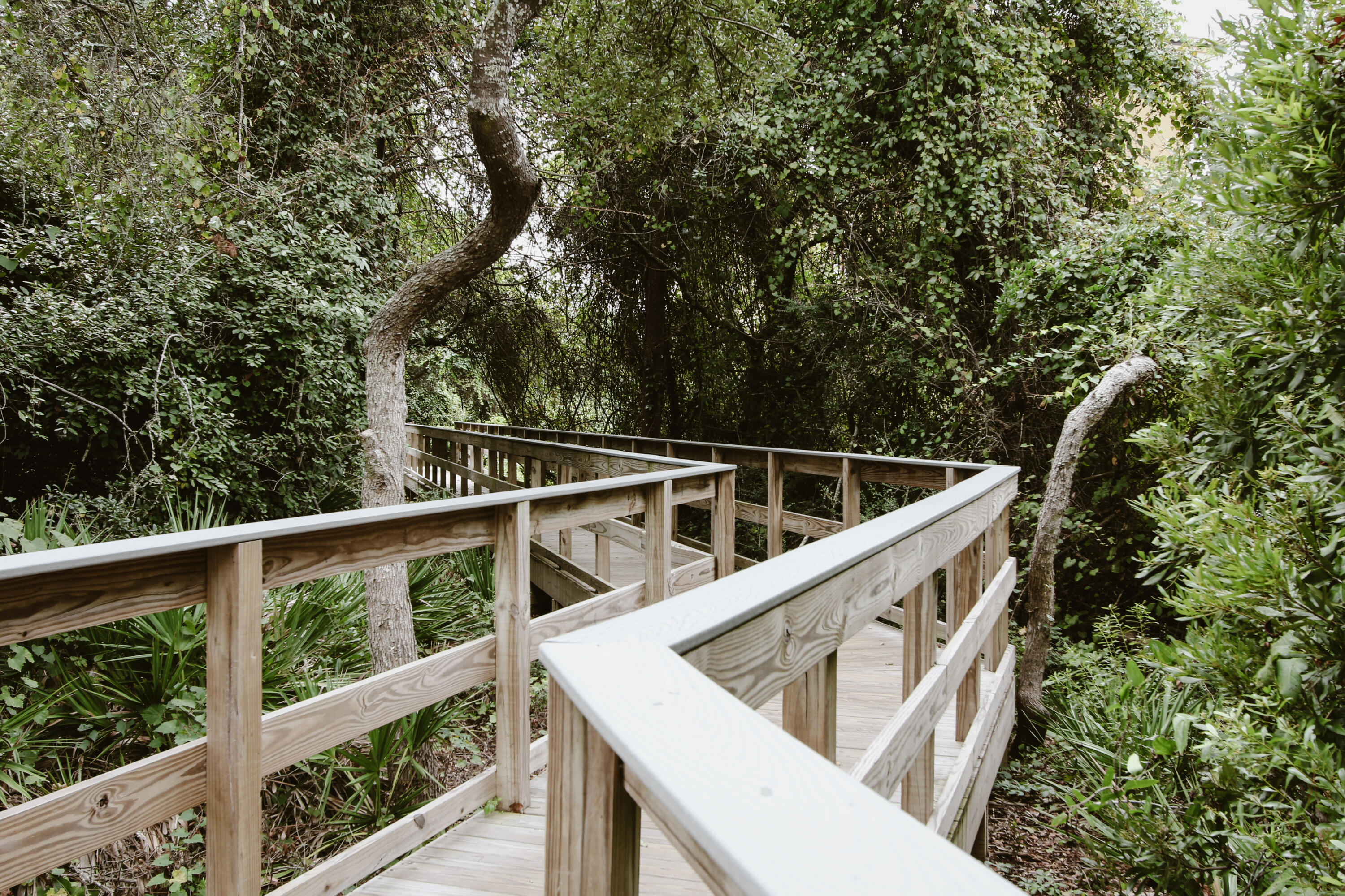 main property photo 66