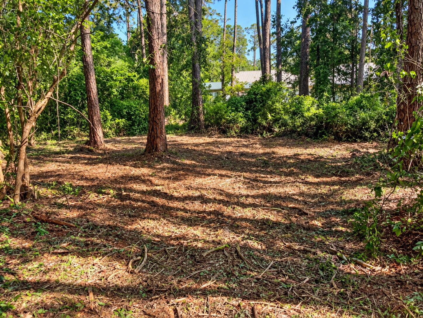 main property photo 6