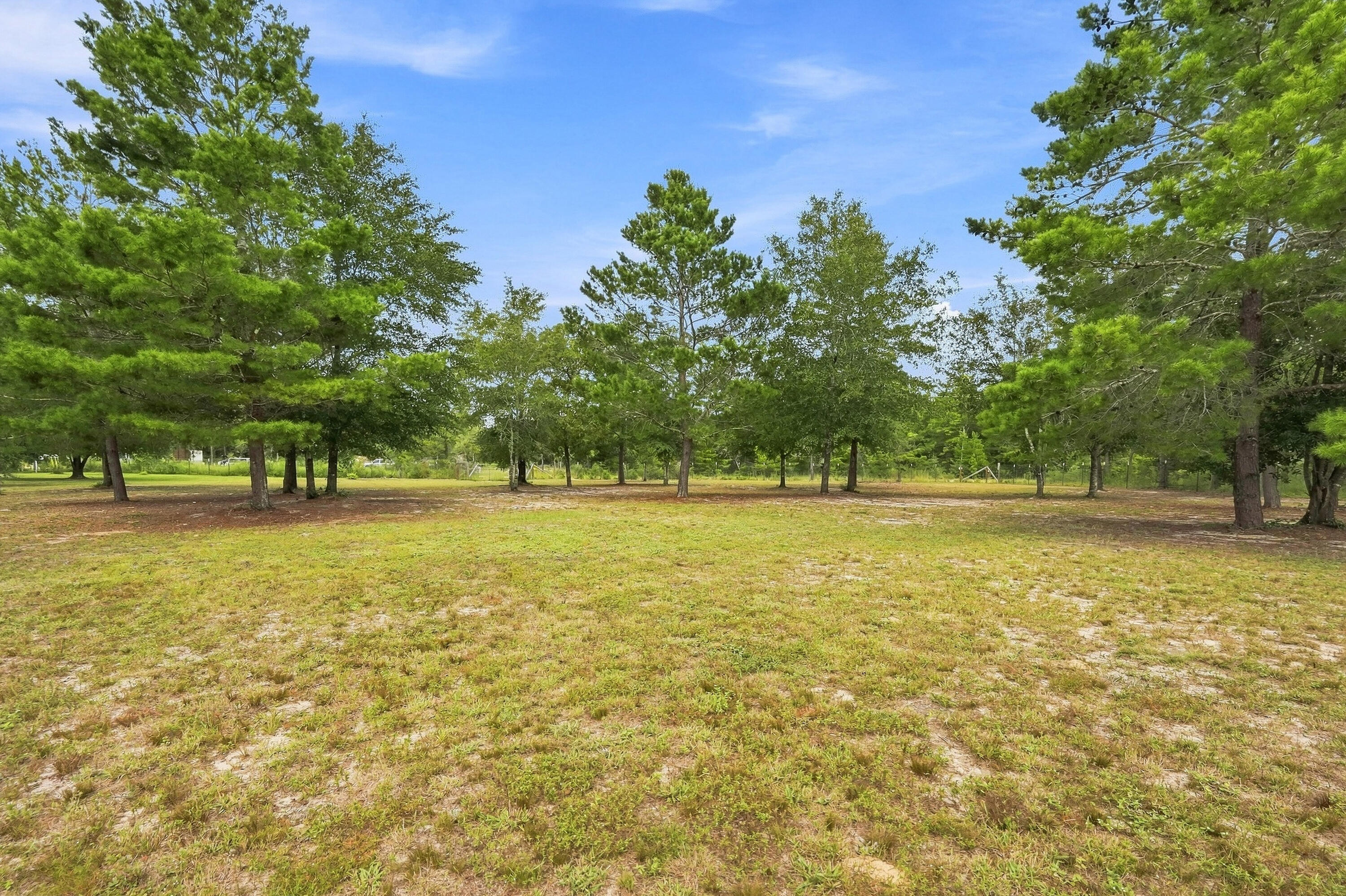 main property photo 53