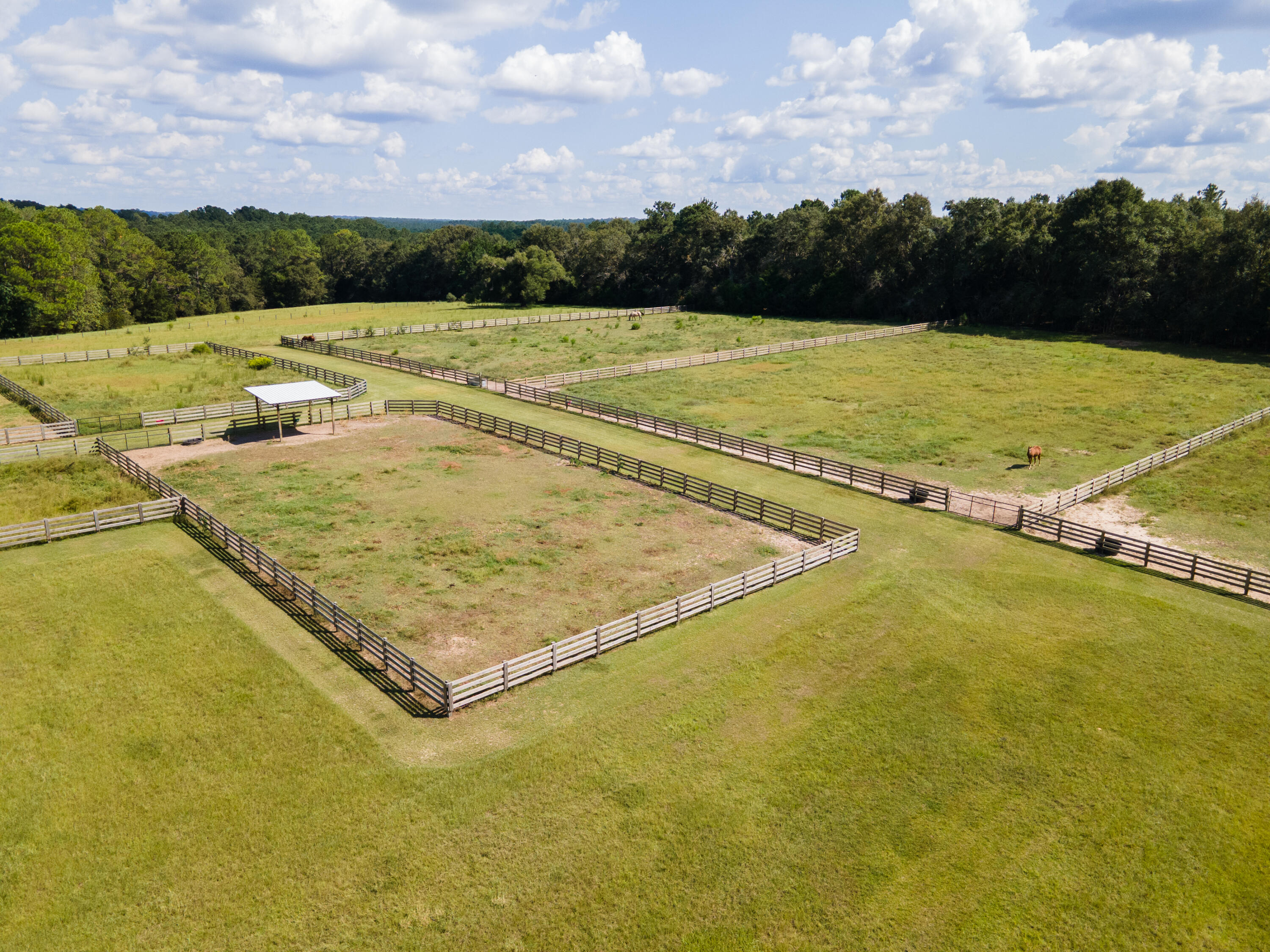 main property photo 53