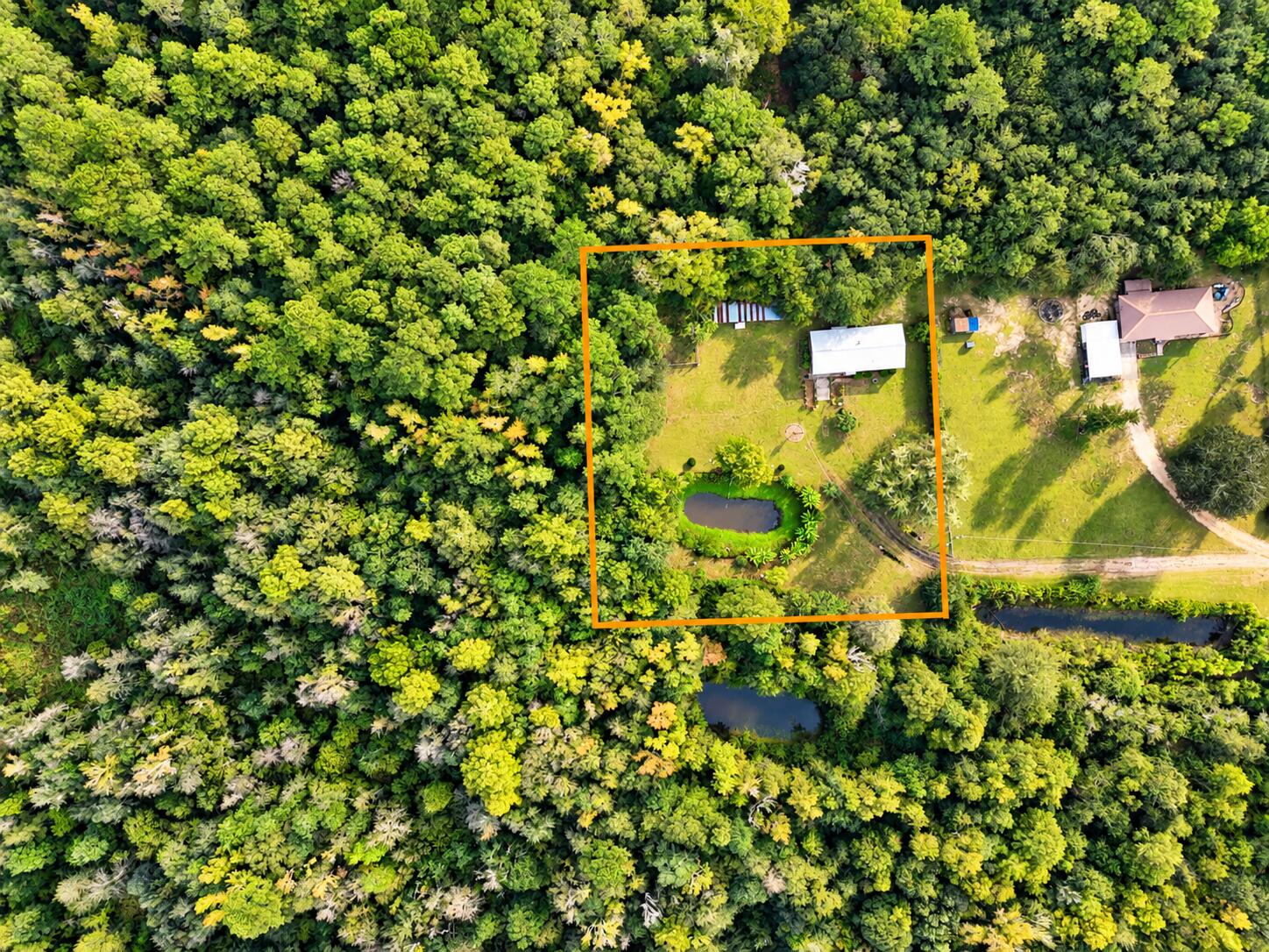 main property photo 39