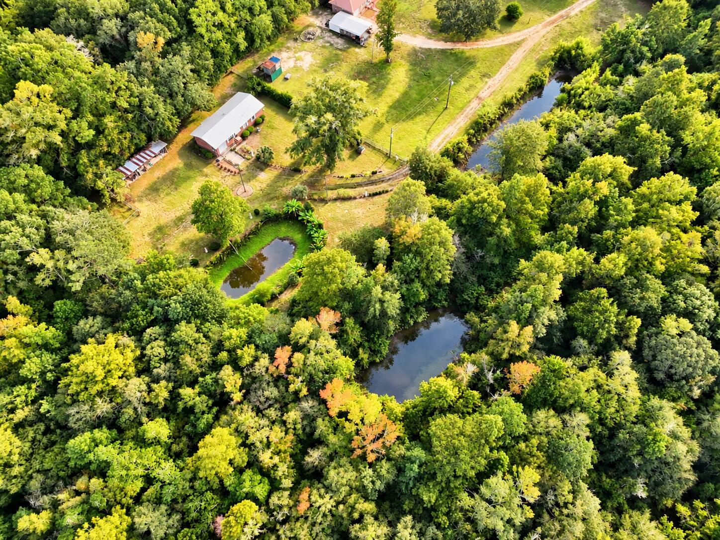 main property photo 42