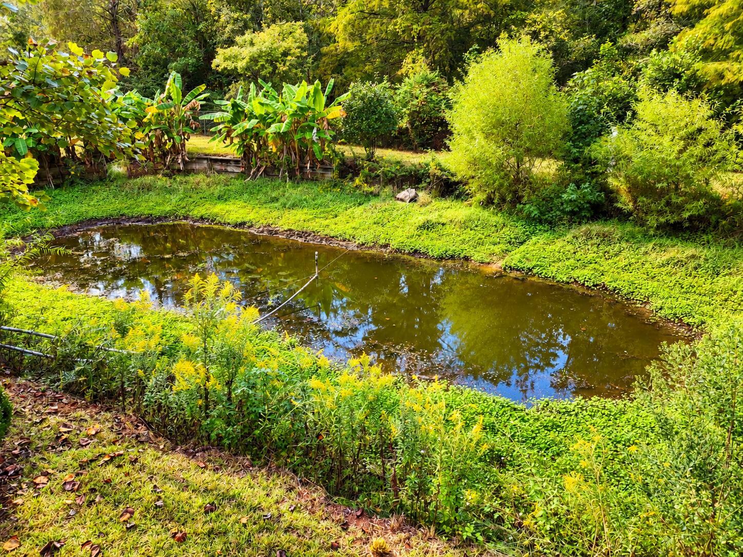 main property photo 44