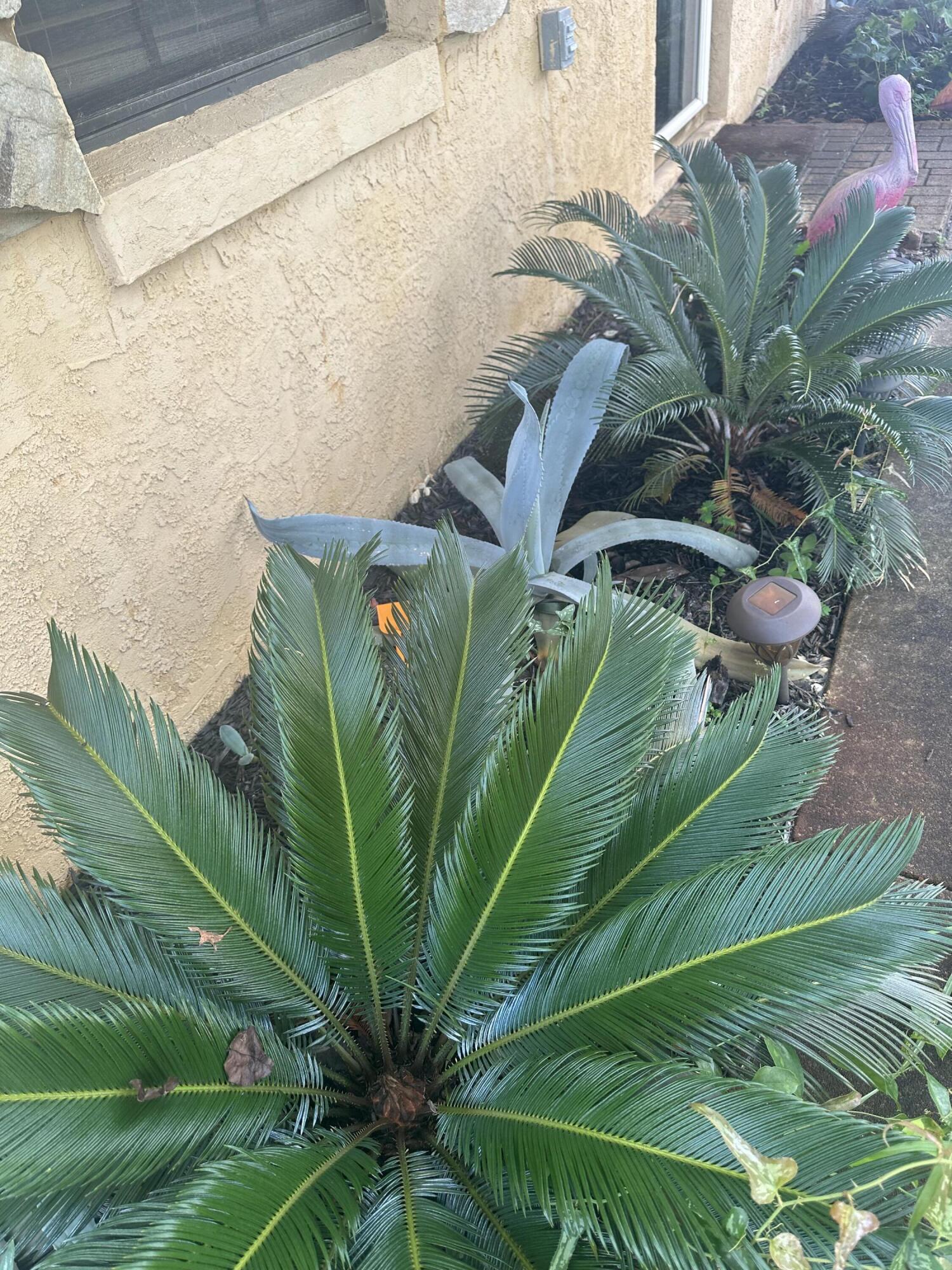 main property photo 51