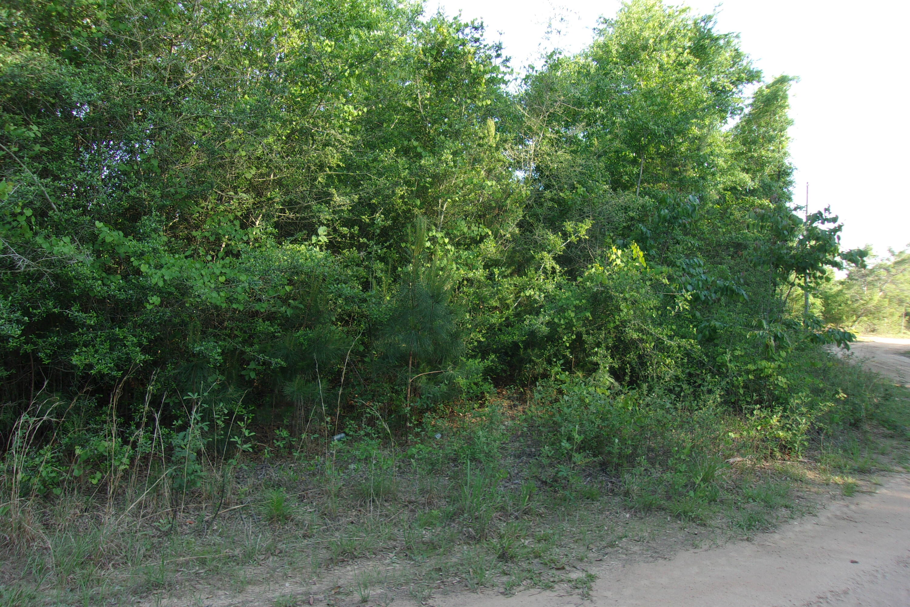 main property photo 7